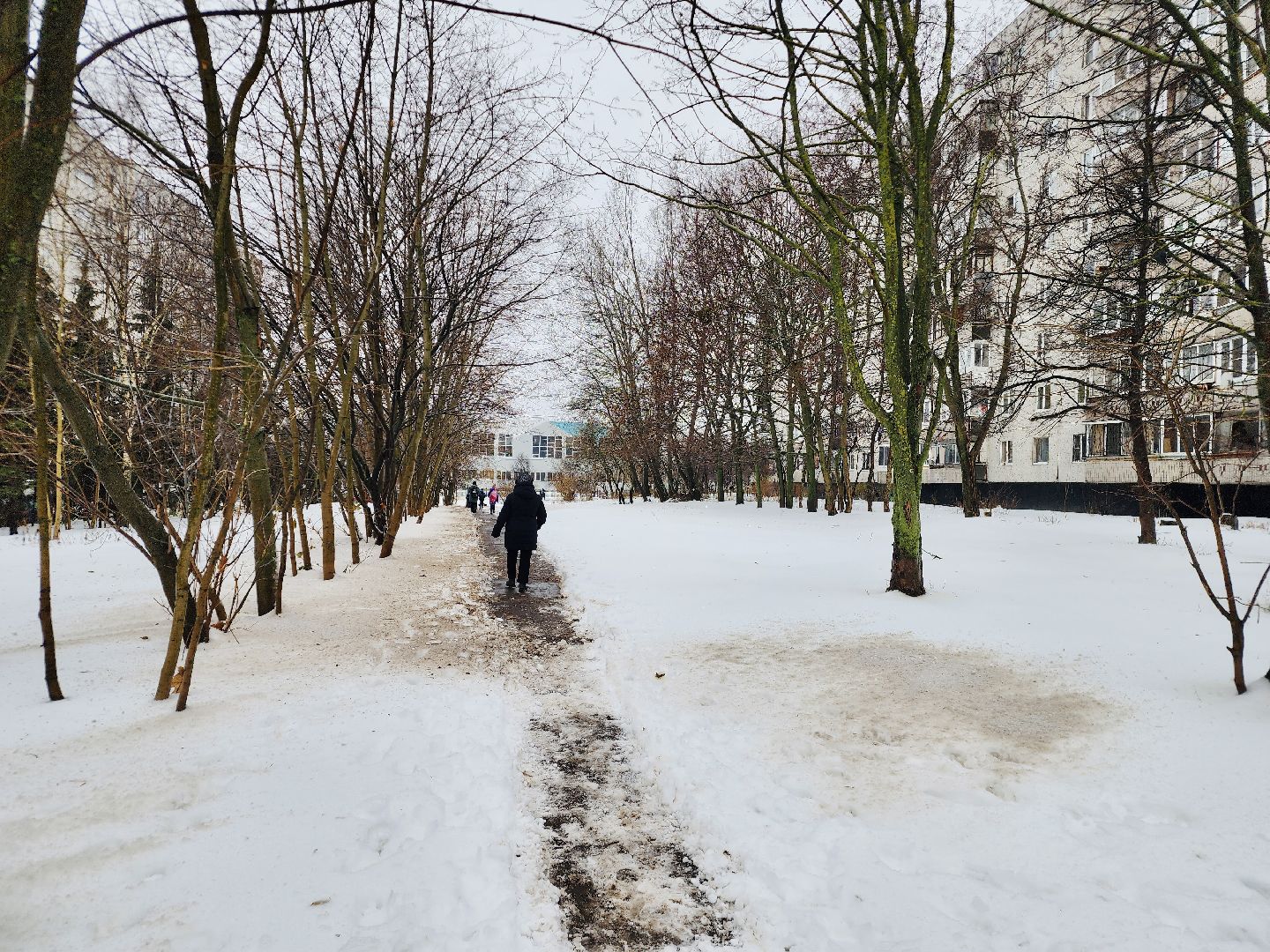 снегопад, жкх, уборка снега,фрязино,