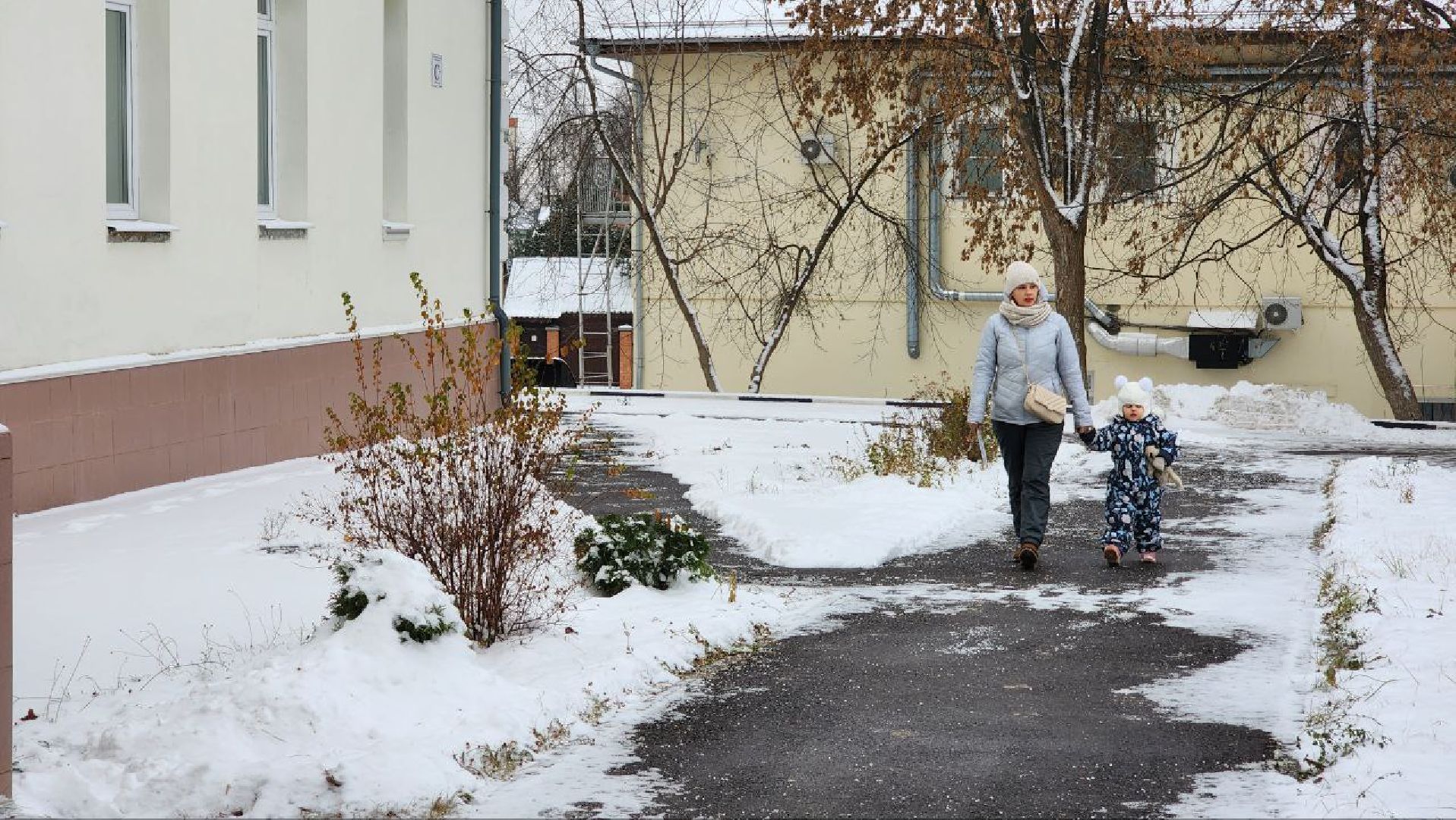 Дмитров, МОНИКИ, Минздрав,