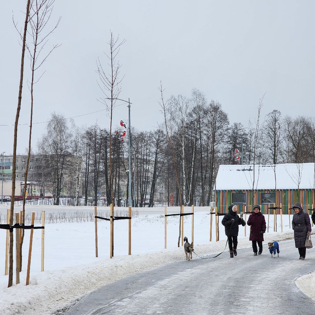 парк 200 лет егорьевску, благоустройство, подмосковье, Московская область,