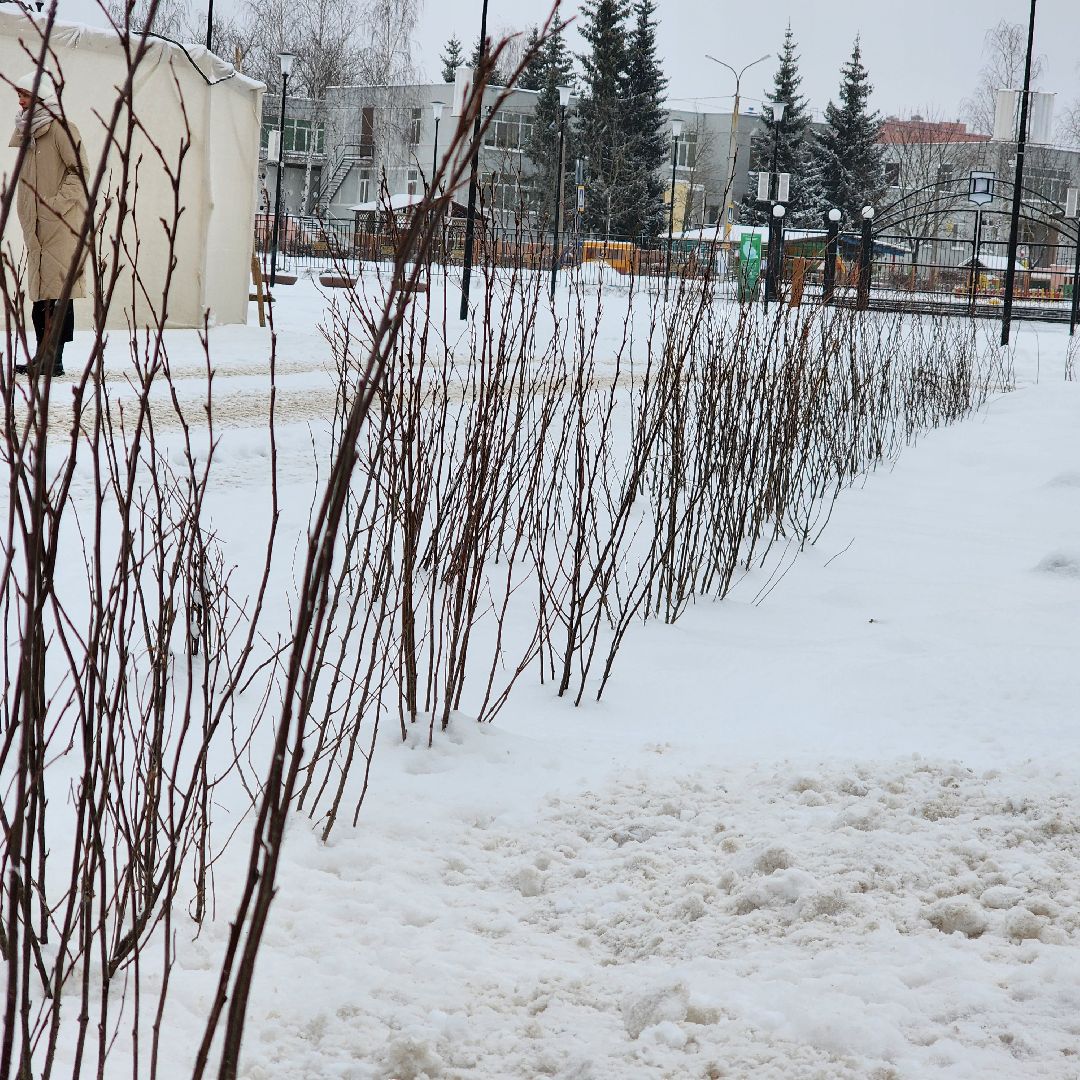парк 200 лет егорьевску, благоустройство, подмосковье, Московская область,