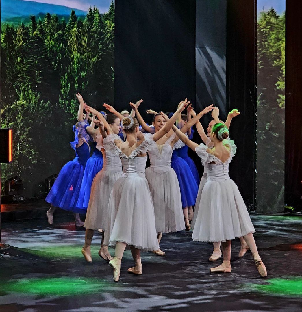 можайск, можайский городской округ, подмосковье, женщина-герой, день матери, СВО, конкурс, областной конкурс, победитель, городские округа, мама, военнослужащие,