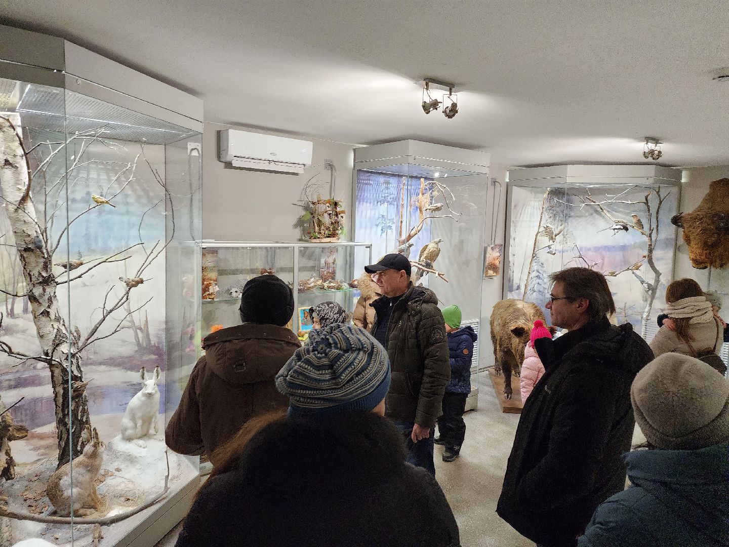 серпухов, подмосковье, приокско-террасный заповедник, музей животных,