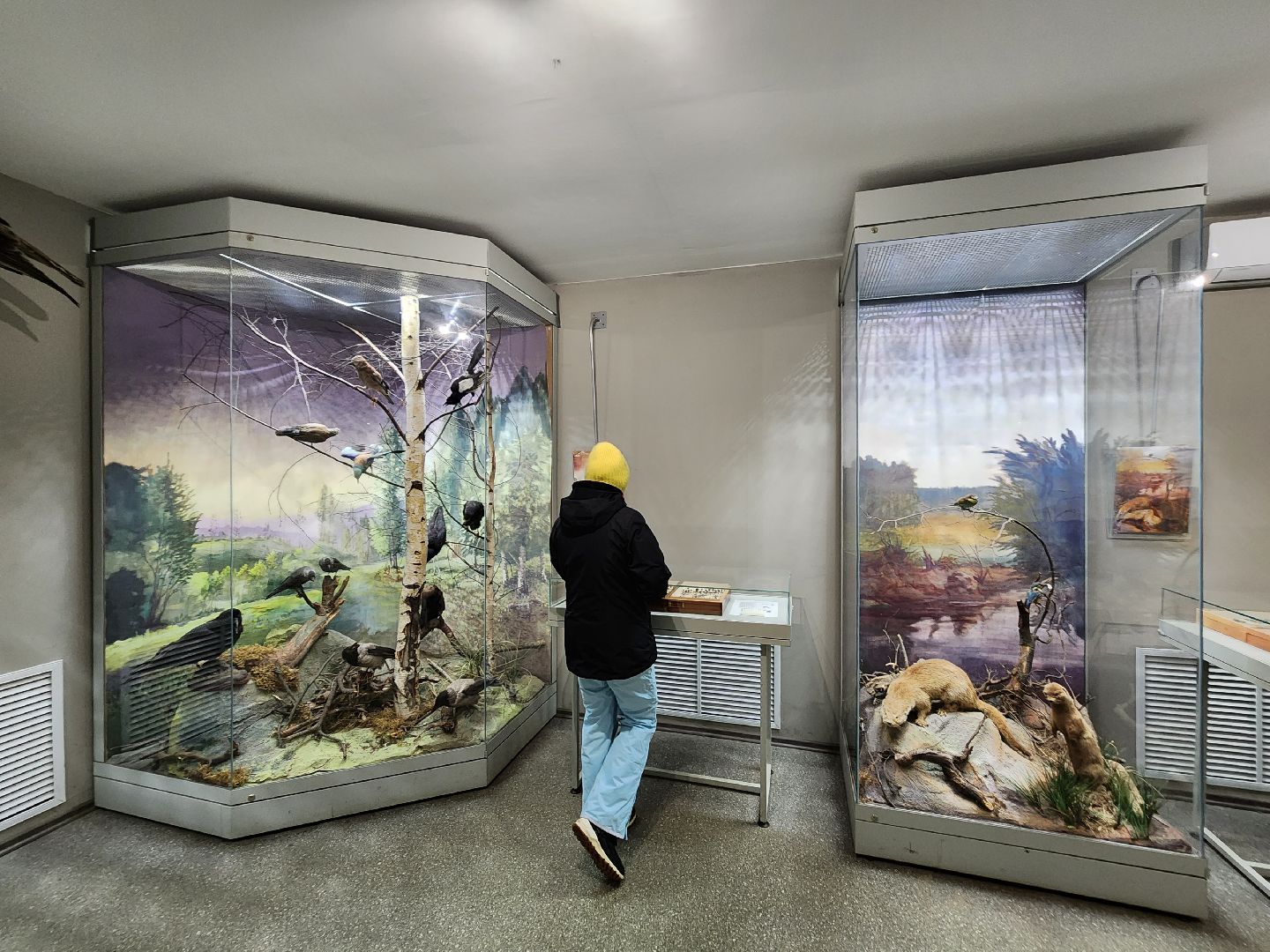 серпухов, подмосковье, приокско-террасный заповедник, музей животных,