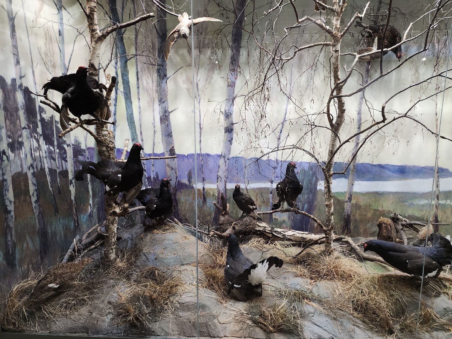 серпухов, подмосковье, приокско-террасный заповедник, музей животных,