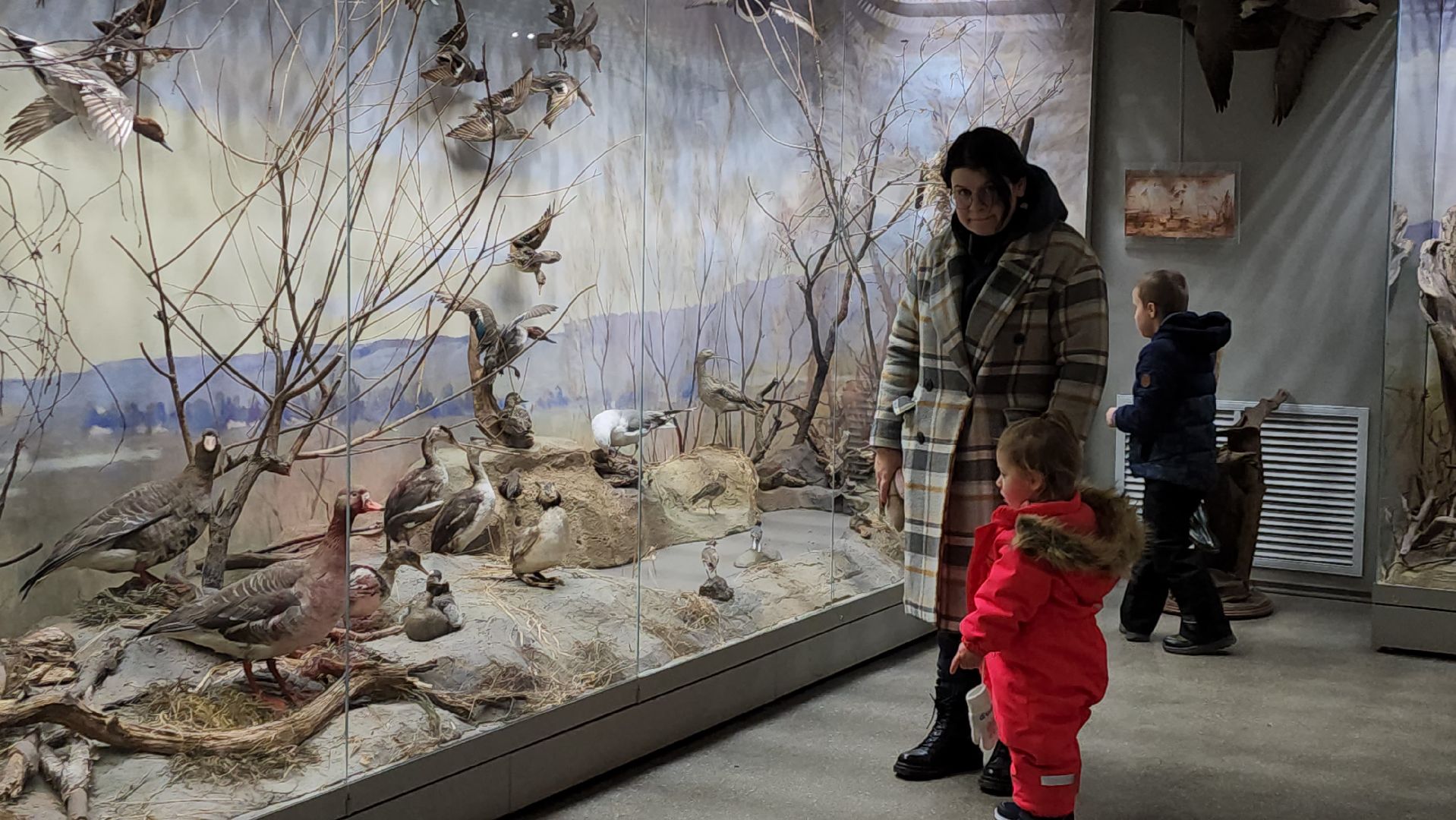 серпухов, подмосковье, приокско-террасный заповедник, музей животных,