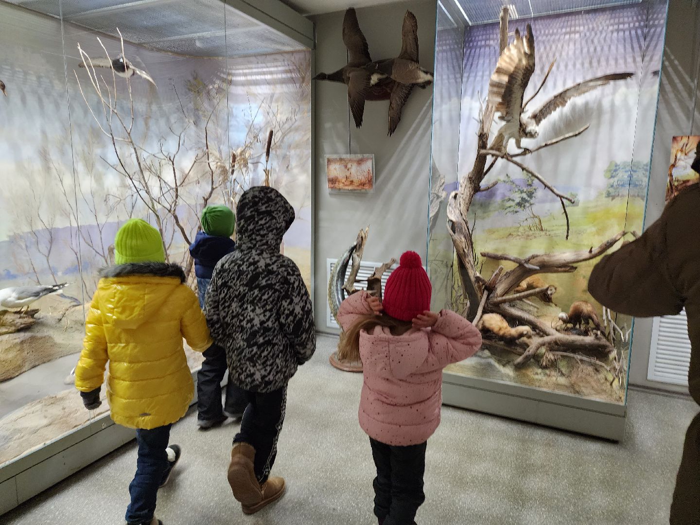 серпухов, подмосковье, приокско-террасный заповедник, музей животных,