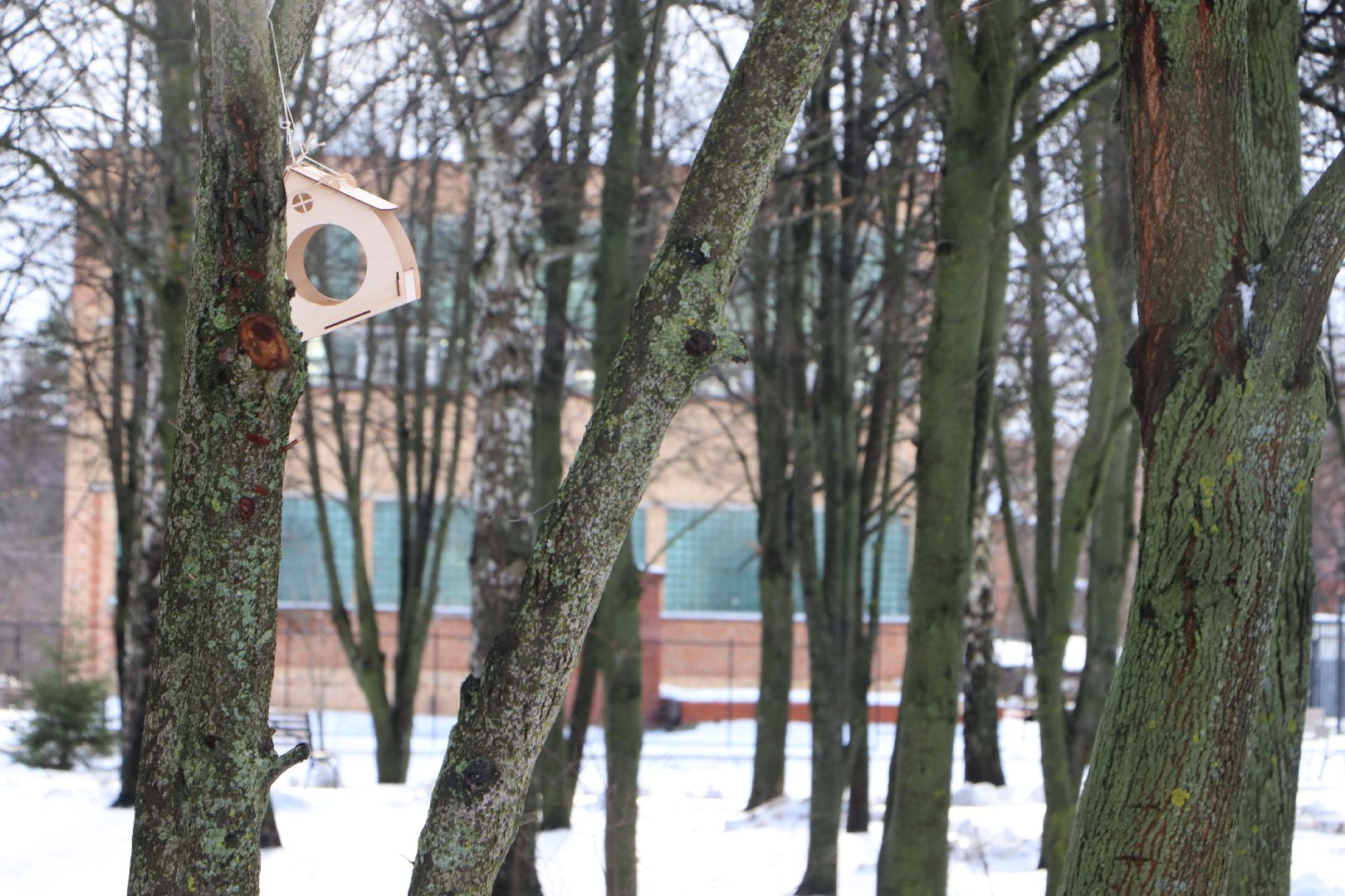 благоустройство 2023, Серебряные Пруды,