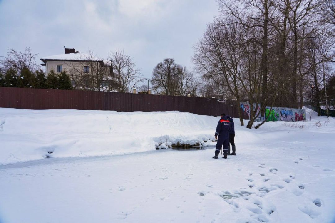 Сергиев Посад, Сергиево-Посадский городской округ, Экология, Субботники, Экоактивисты, МГЕР, Молодая Гвардия