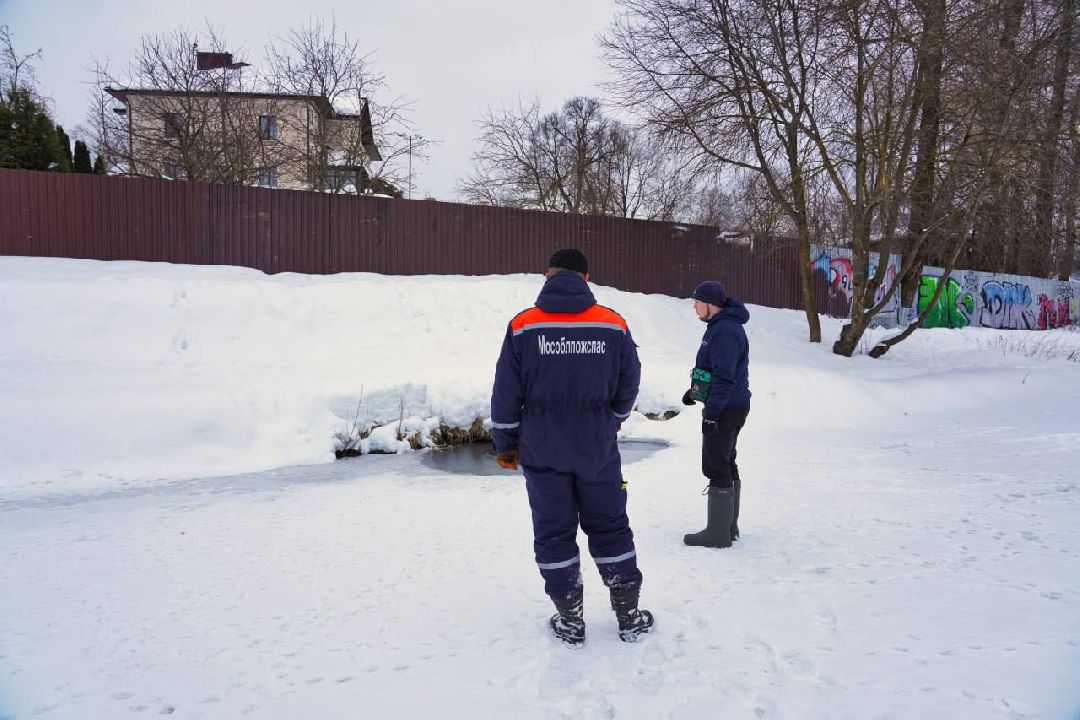 Сергиев Посад, Сергиево-Посадский городской округ, Экология, Субботники, Экоактивисты, МГЕР, Молодая Гвардия