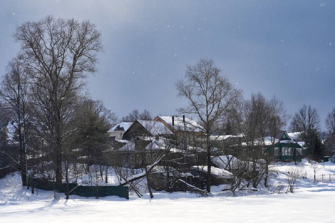Сергиев Посад, Сергиево-Посадский городской округ, Экология, Субботники, Экоактивисты, МГЕР, Молодая Гвардия