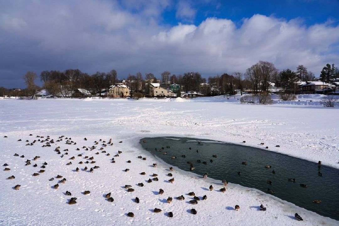 Сергиев Посад, Сергиево-Посадский городской округ, Экология, Субботники, Экоактивисты, МГЕР, Молодая Гвардия