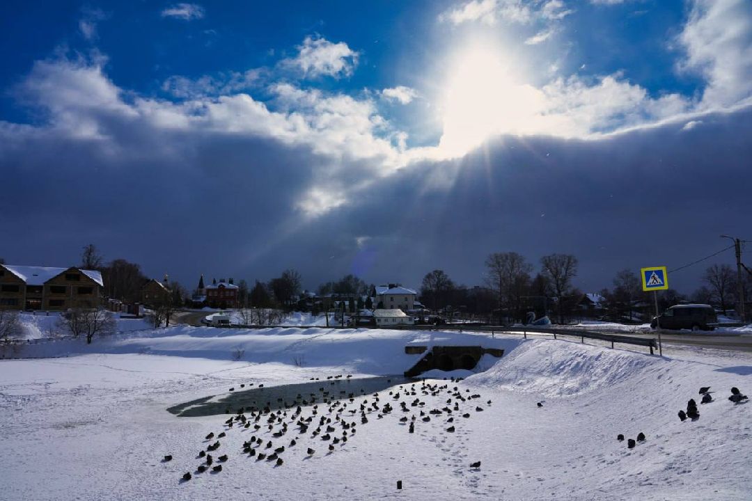 Сергиев Посад, Сергиево-Посадский городской округ, Экология, Субботники, Экоактивисты, МГЕР, Молодая Гвардия