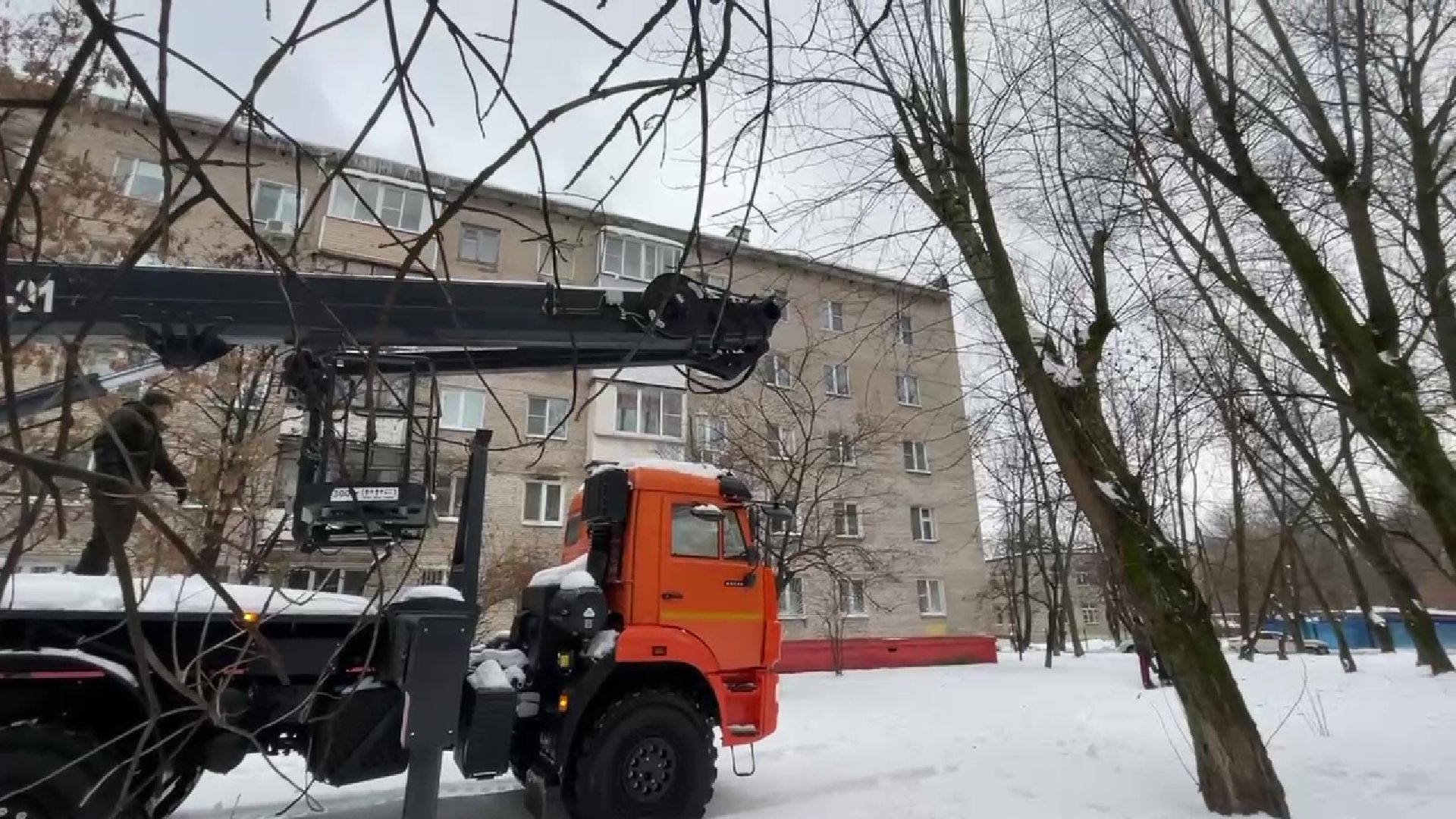 Реутов, кошка, дерево, спасение, операция,люлька,