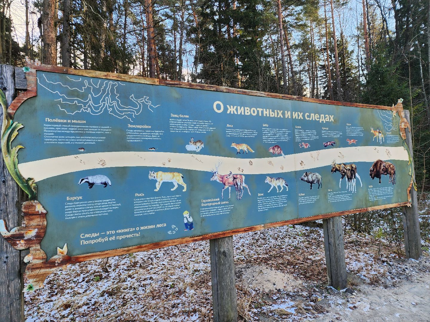 серпухов, подмосковье, Приокско-террасный заповедник, зубры, бизоны,