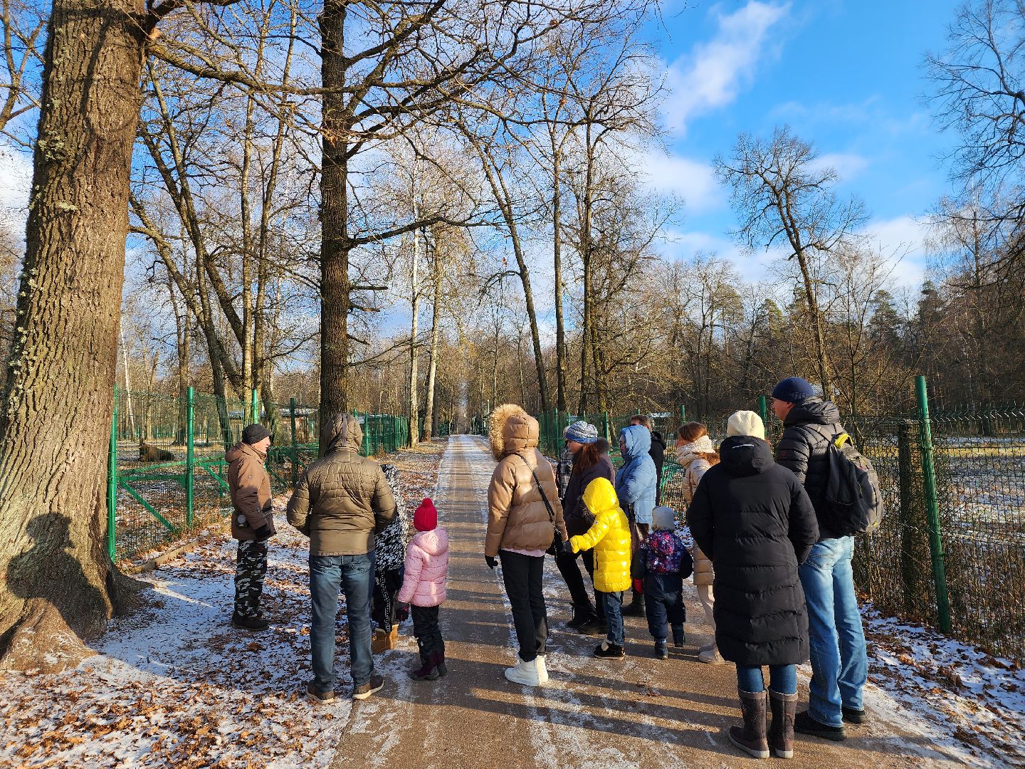 серпухов, подмосковье, Приокско-террасный заповедник, зубры, бизоны,