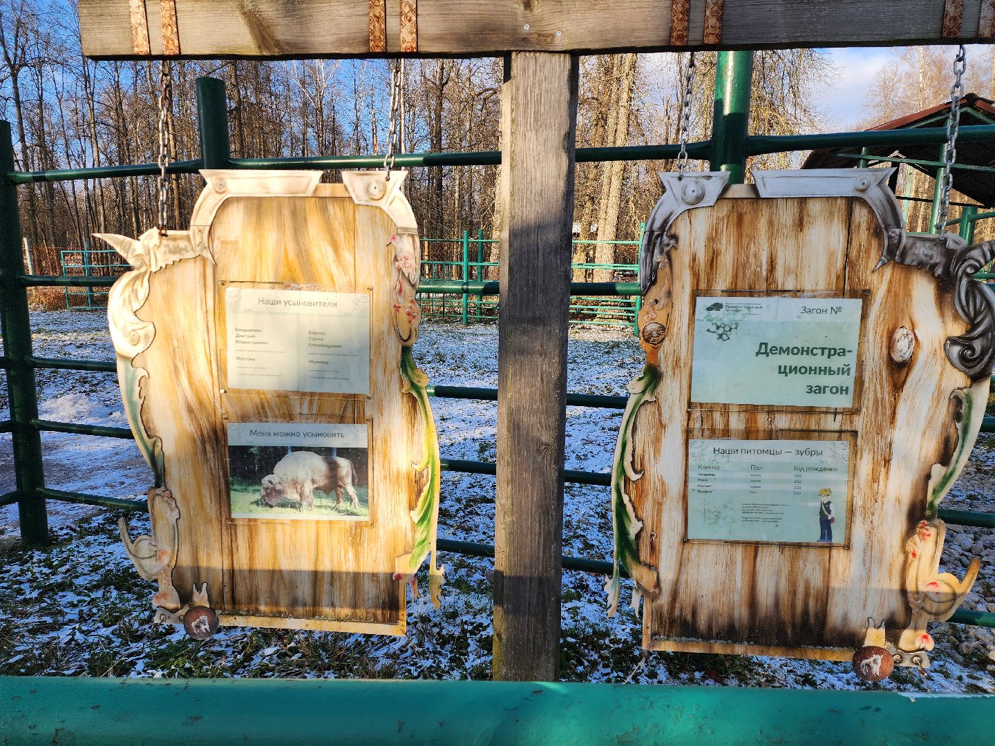 серпухов, подмосковье, Приокско-террасный заповедник, зубры, бизоны,