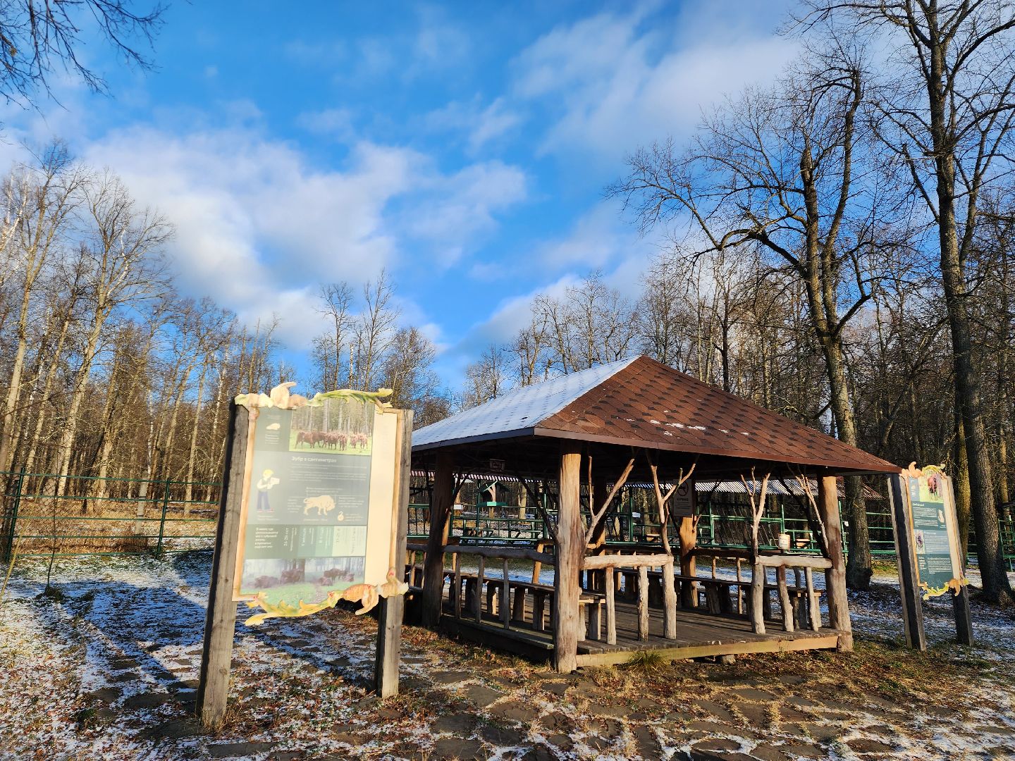 серпухов, подмосковье, Приокско-террасный заповедник, зубры, бизоны,