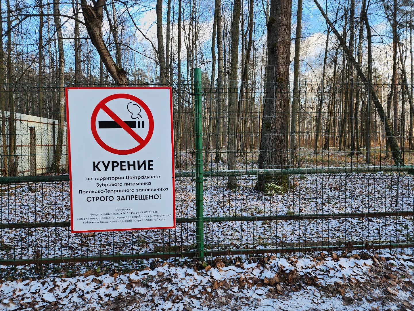 серпухов, подмосковье, Приокско-террасный заповедник, зубры, бизоны,