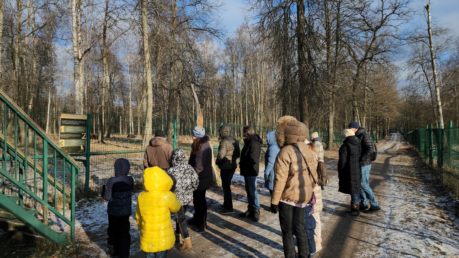 серпухов, подмосковье, Приокско-террасный заповедник, зубры, бизоны,