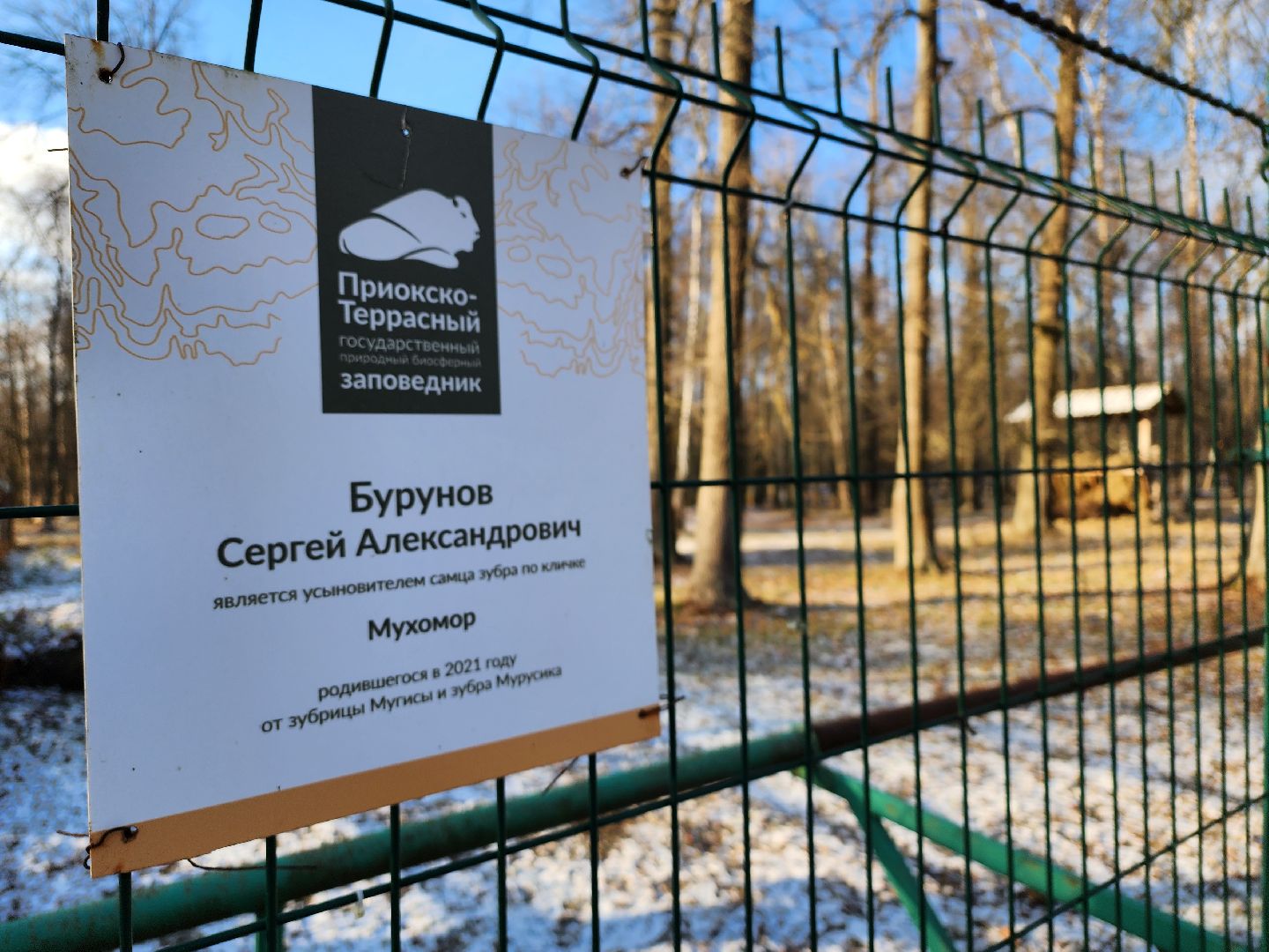 серпухов, подмосковье, Приокско-террасный заповедник, зубры, бизоны,