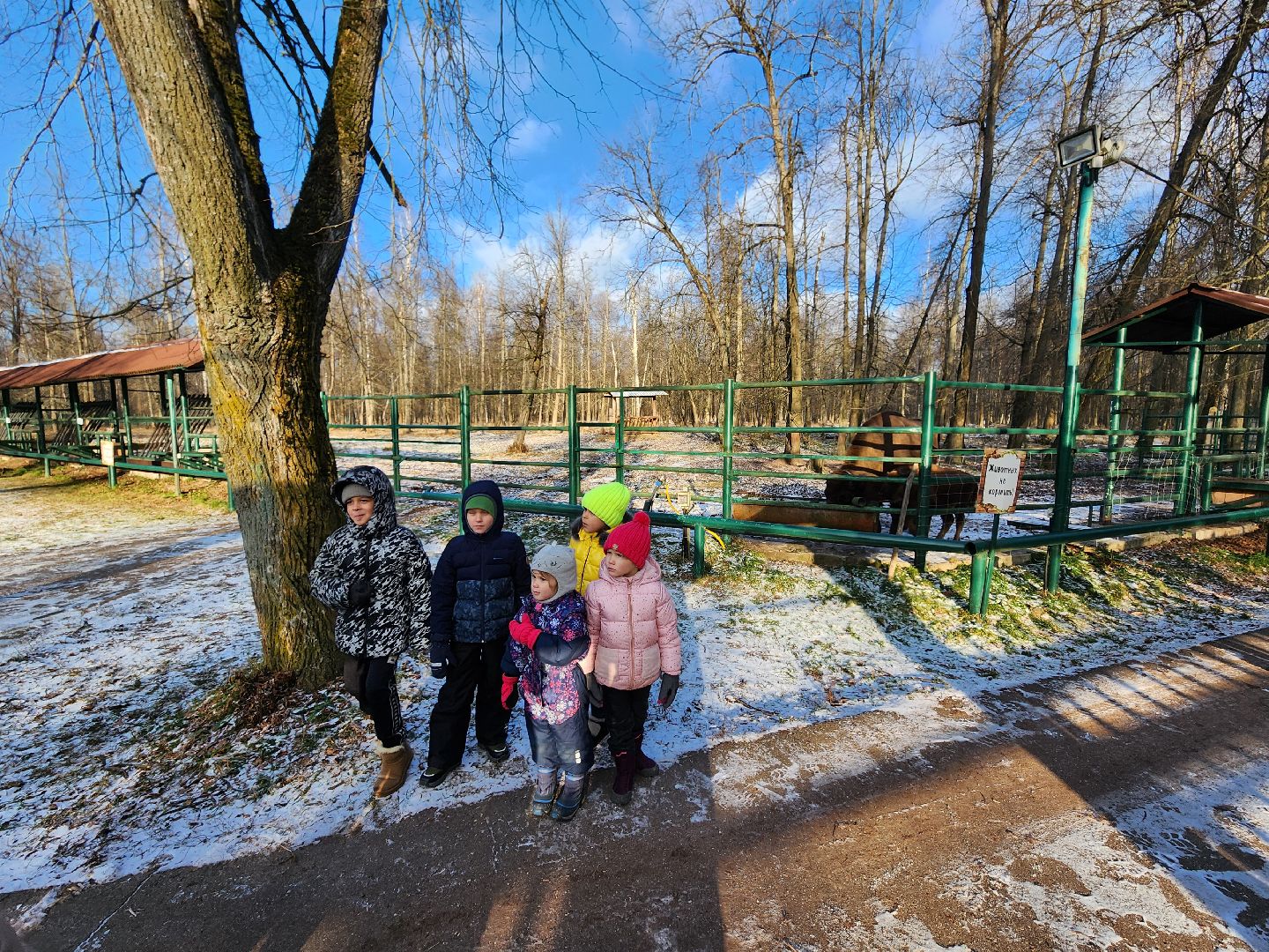 серпухов, подмосковье, Приокско-террасный заповедник, зубры, бизоны,