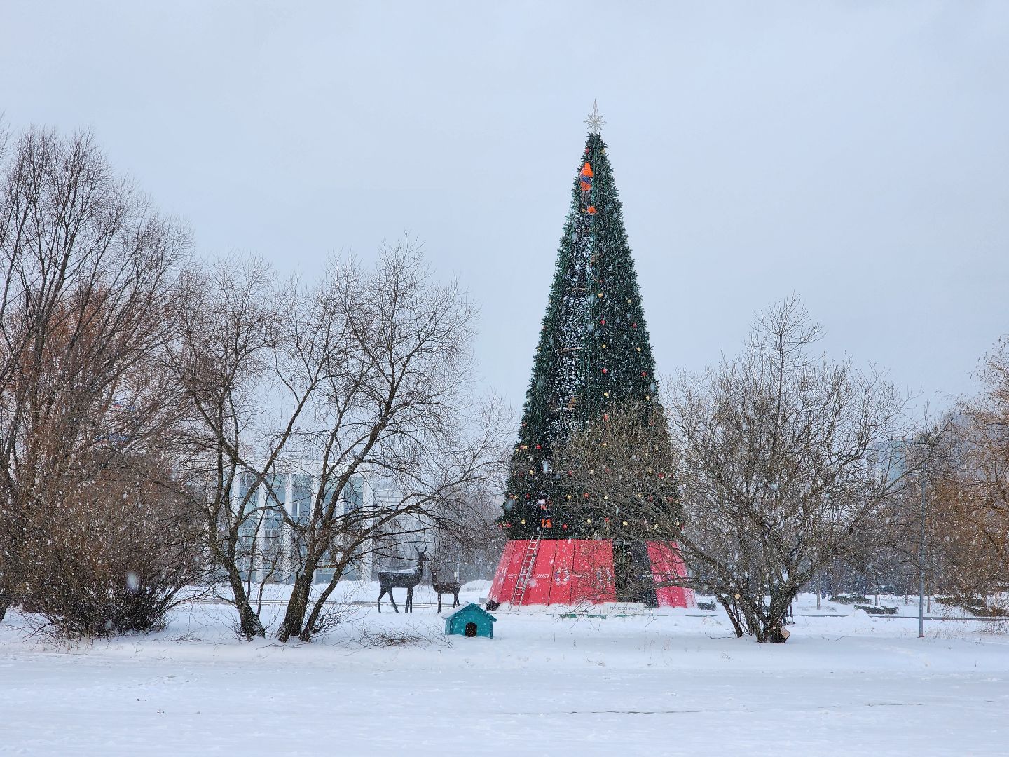 одинцово, благоустройство, елка, новый год,