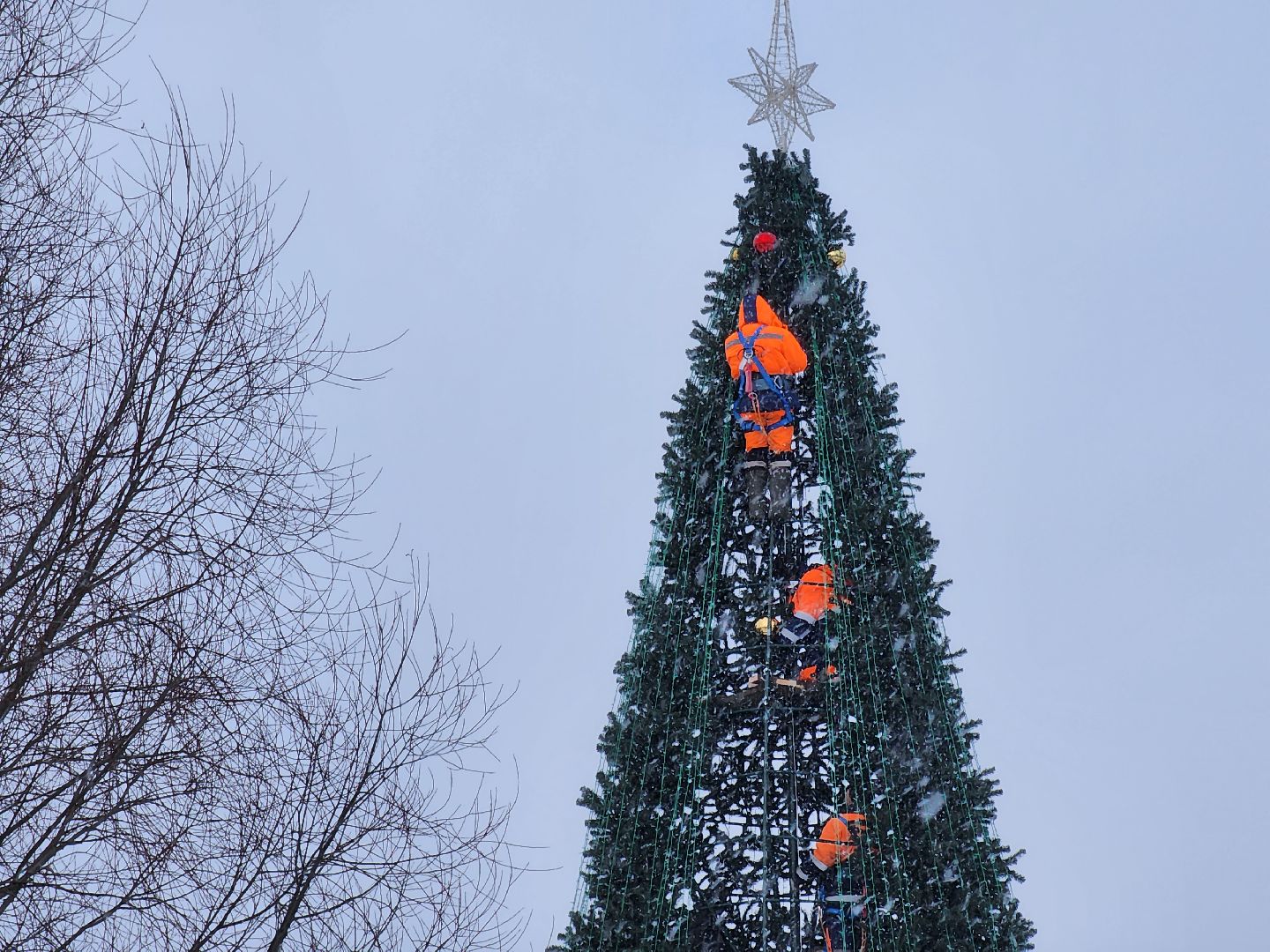 одинцово, благоустройство, елка, новый год,