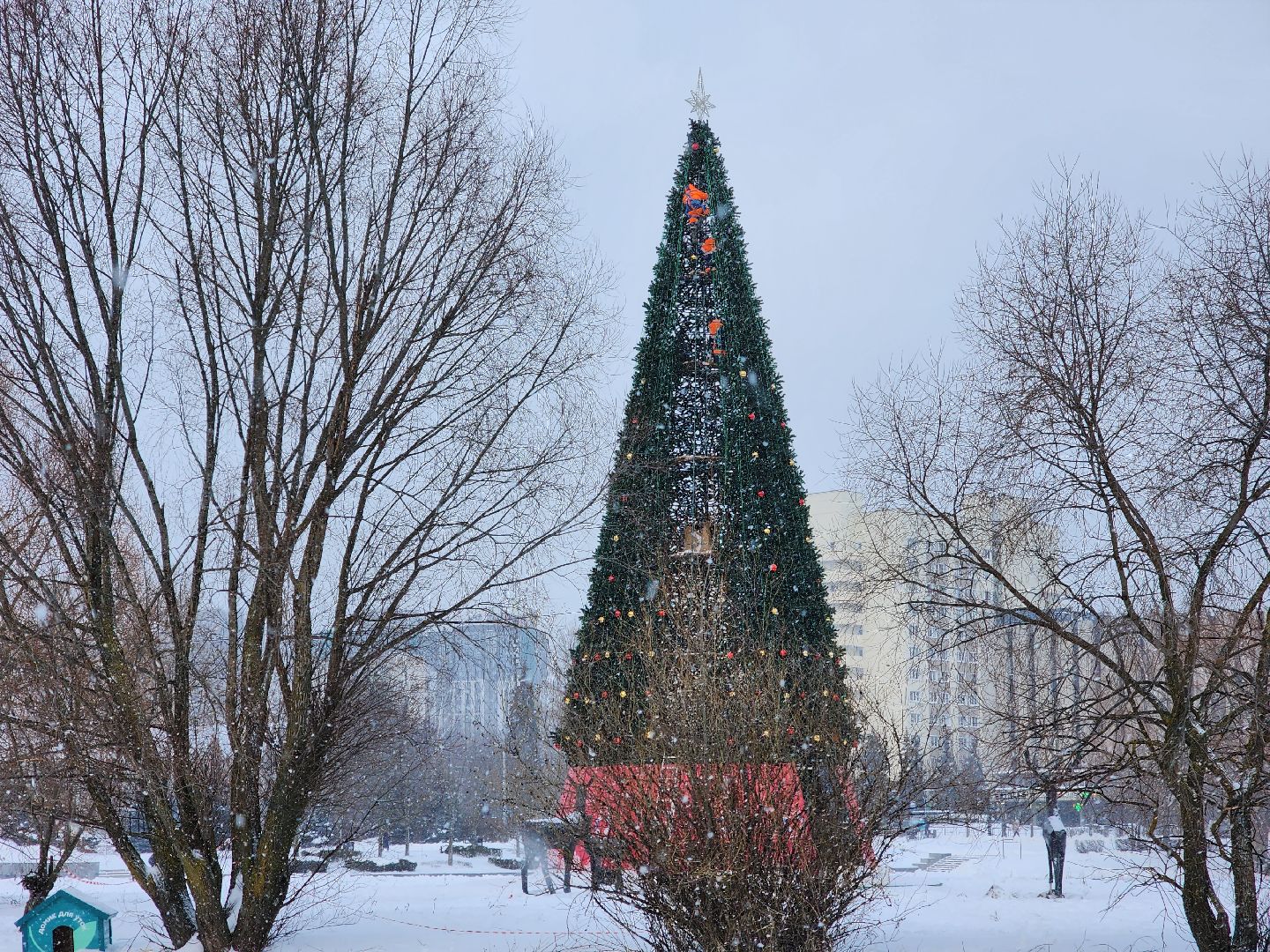 одинцово, благоустройство, елка, новый год,