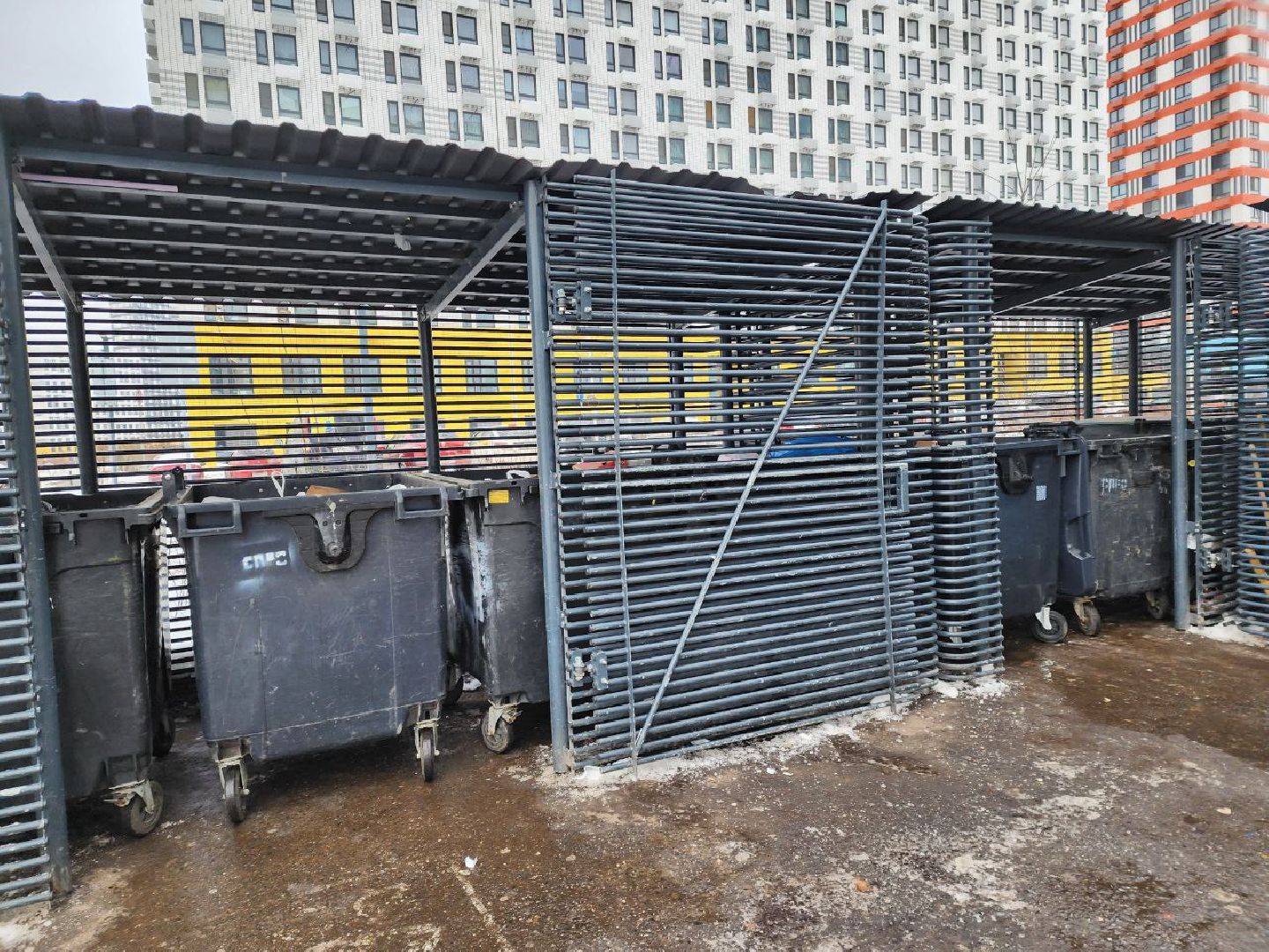 мытищи, улица Мира, контейнерная площадка, жкх, вывоз мусора,