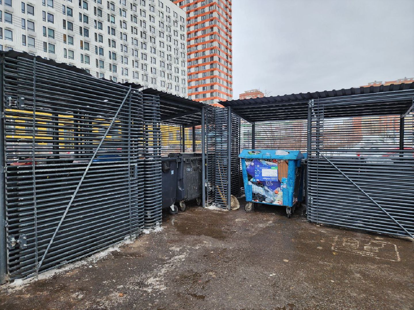 мытищи, улица Мира, контейнерная площадка, жкх, вывоз мусора,