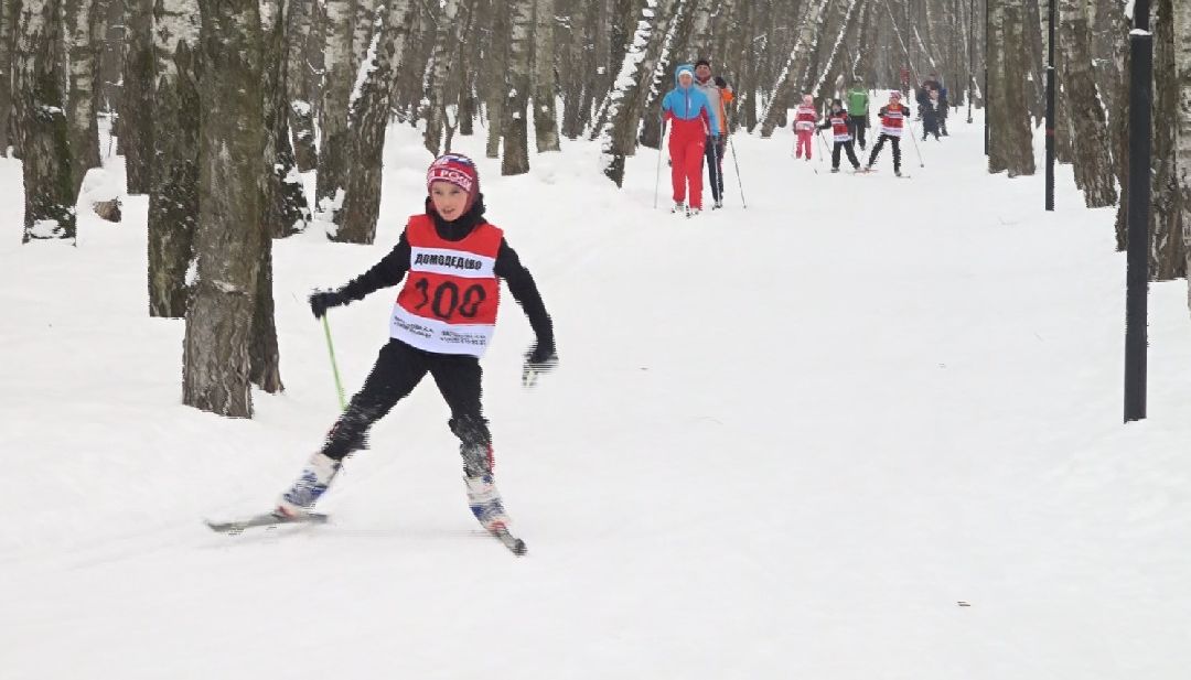семья, традиции, спорт, Домодедово