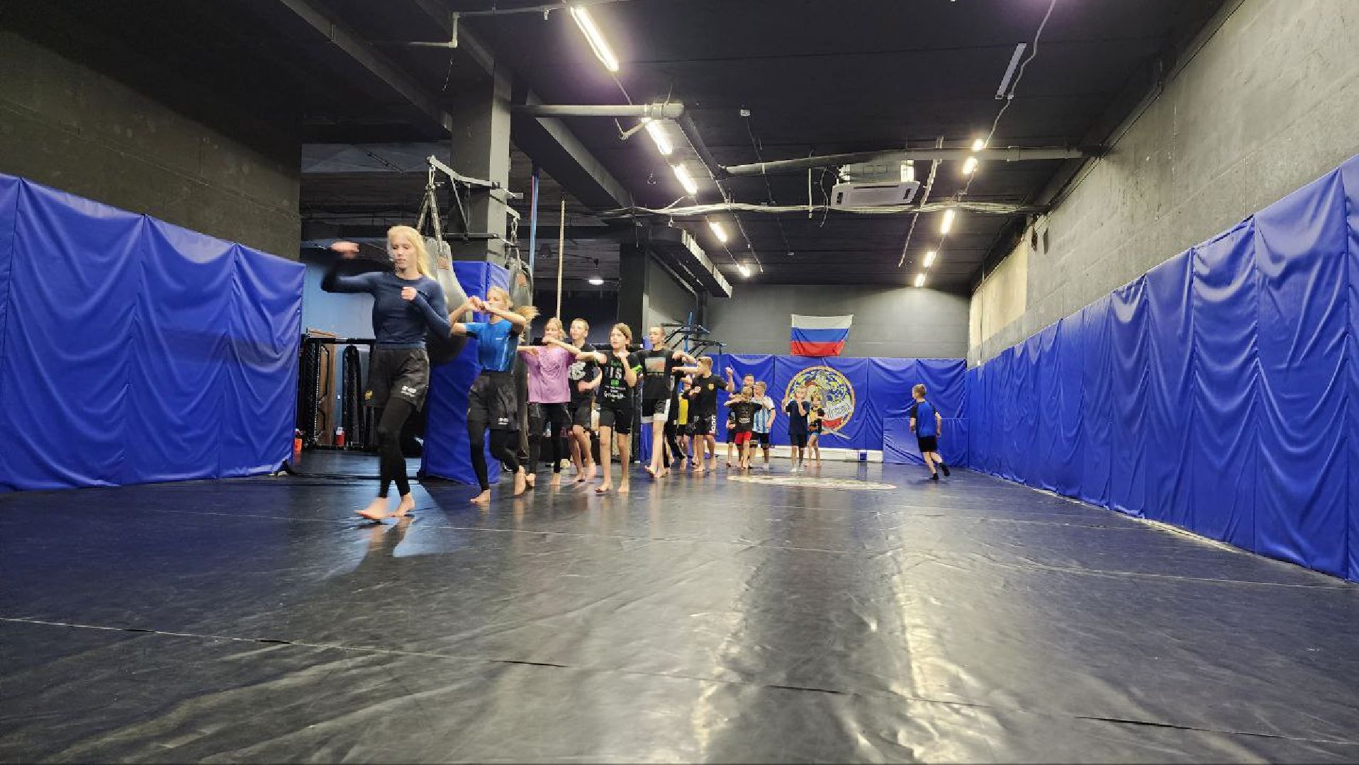 Дмитров, Дмитровская дружина, Самоцуповы,