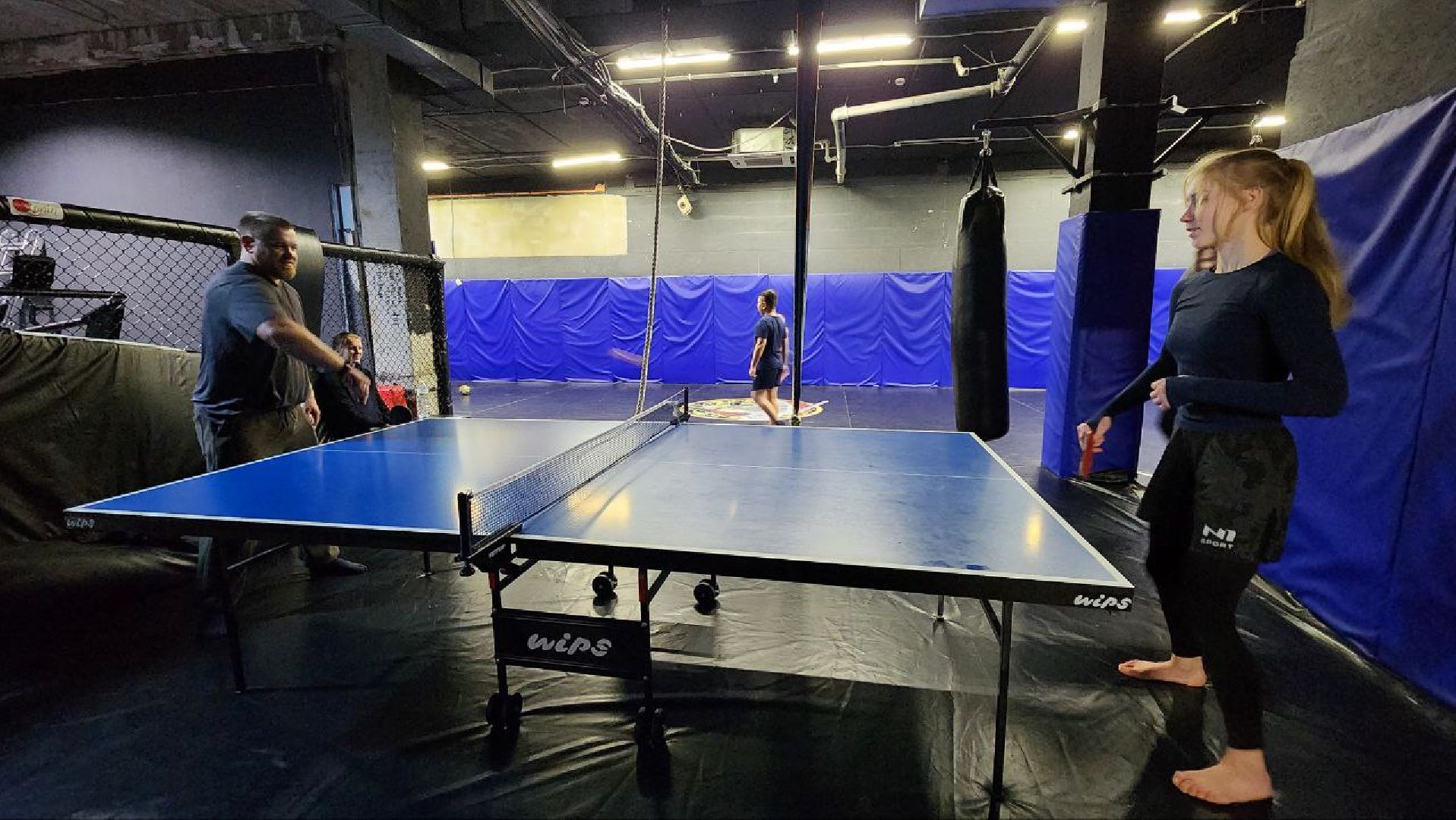 Дмитров, Дмитровская дружина, Самоцуповы,