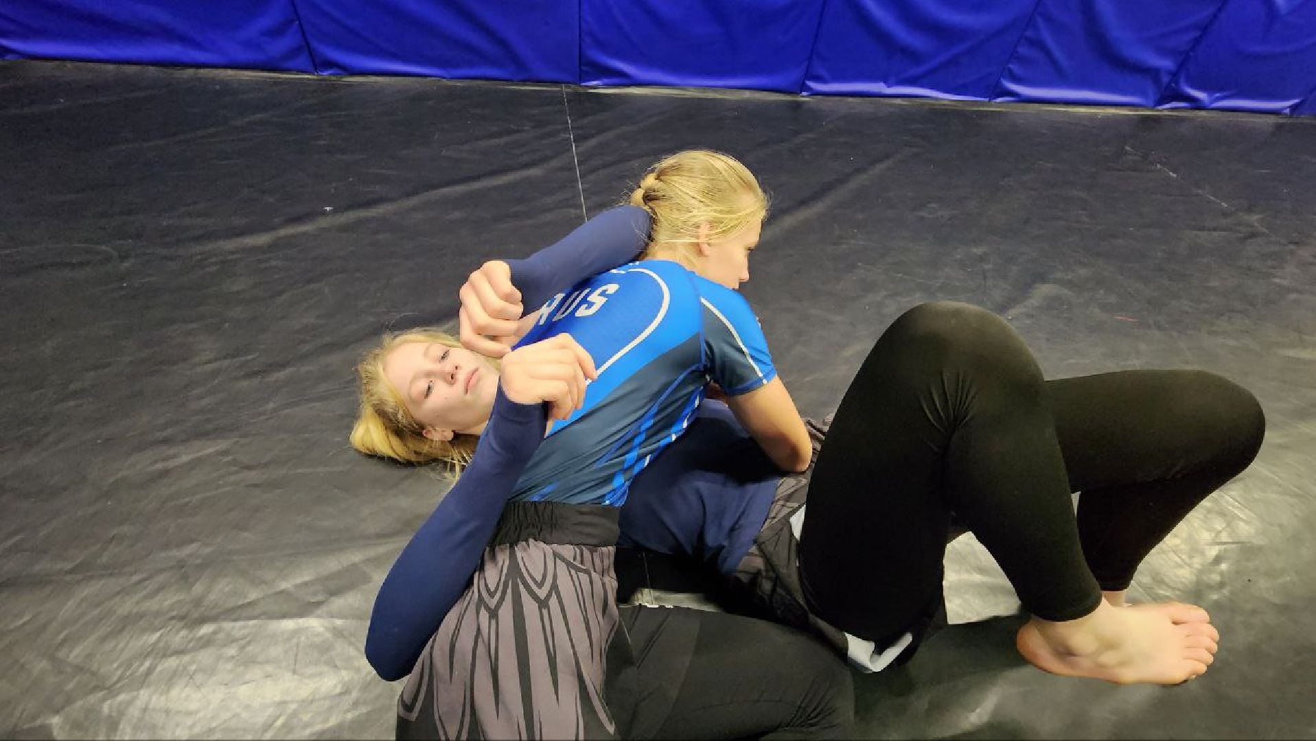 Дмитров, Дмитровская дружина, Самоцуповы,