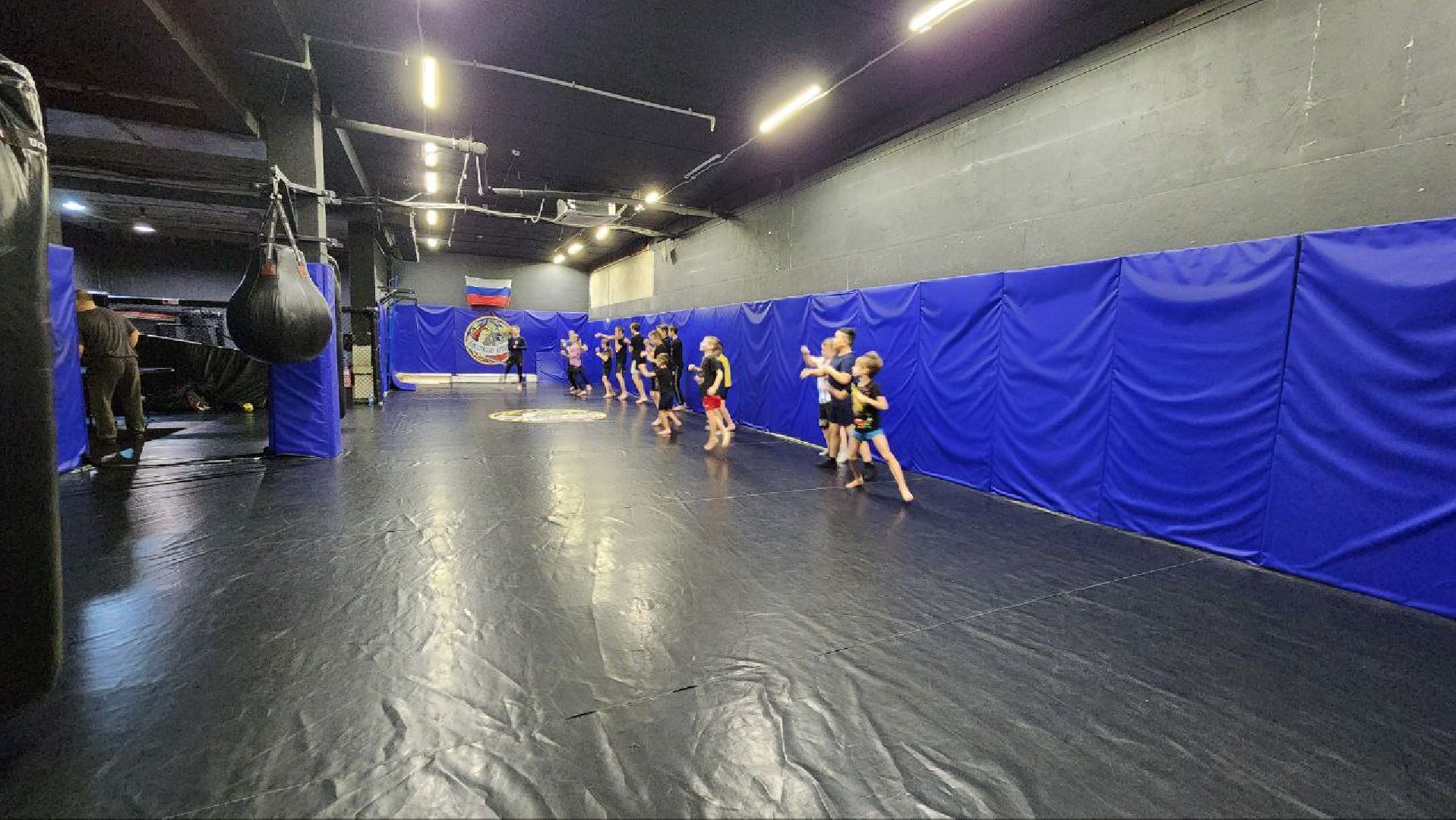 Дмитров, Дмитровская дружина, Самоцуповы,