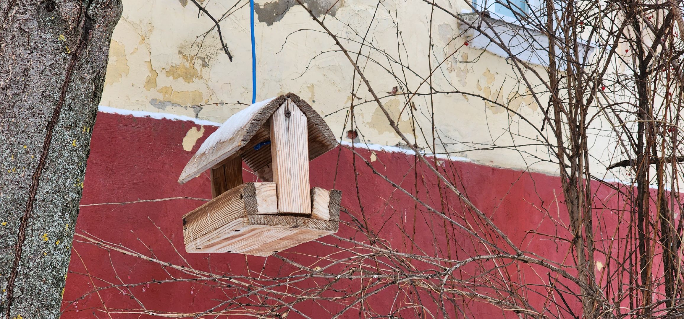 Коломна, птицы, кормление птиц, кормушка для птиц,