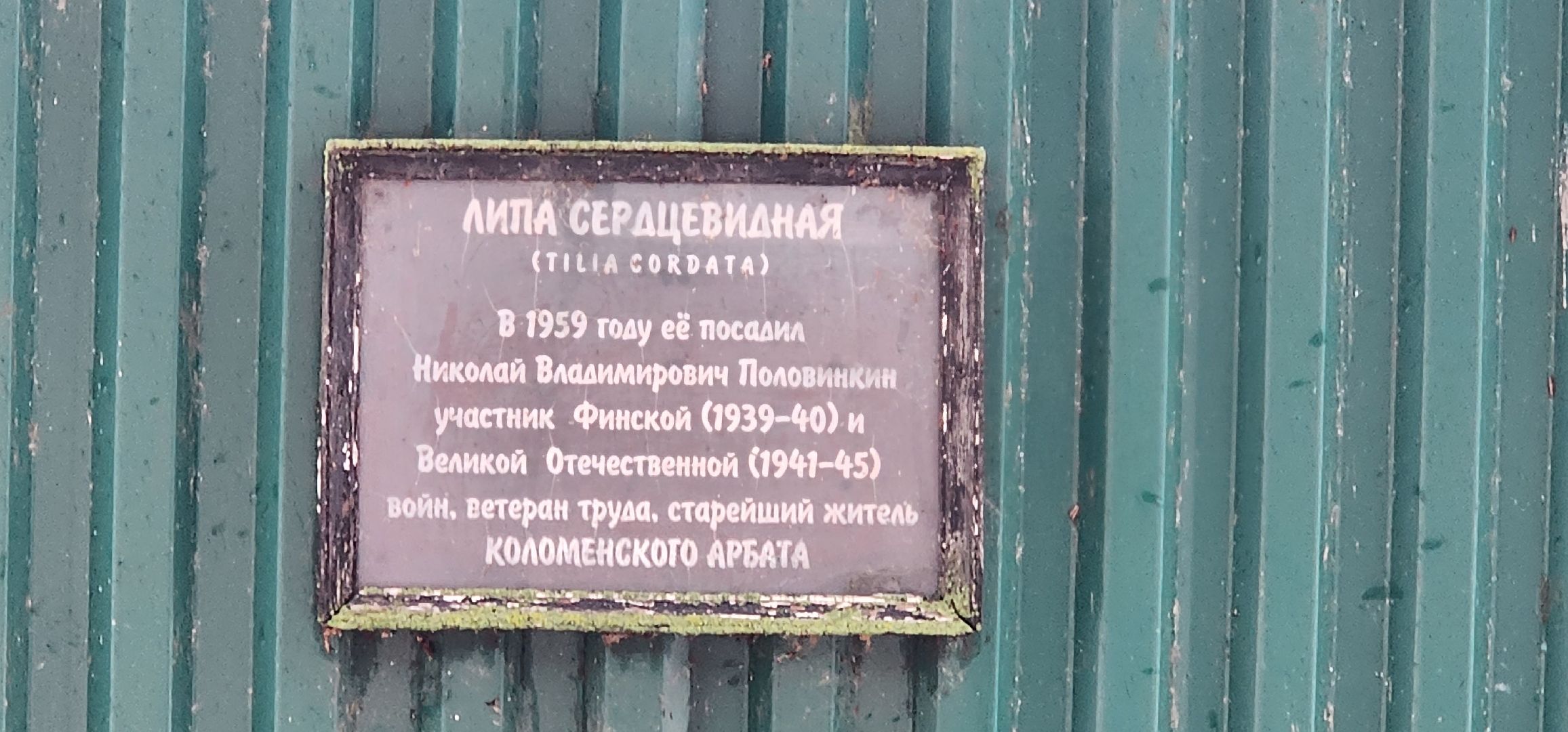 Коломна, туризм, арт-объект, мозаика, достопримечательности,