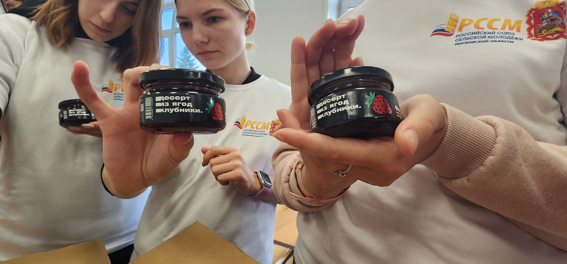 Коломна, волонтеры, Российский союз сельской молодежи, молодежь села, помощь людям,