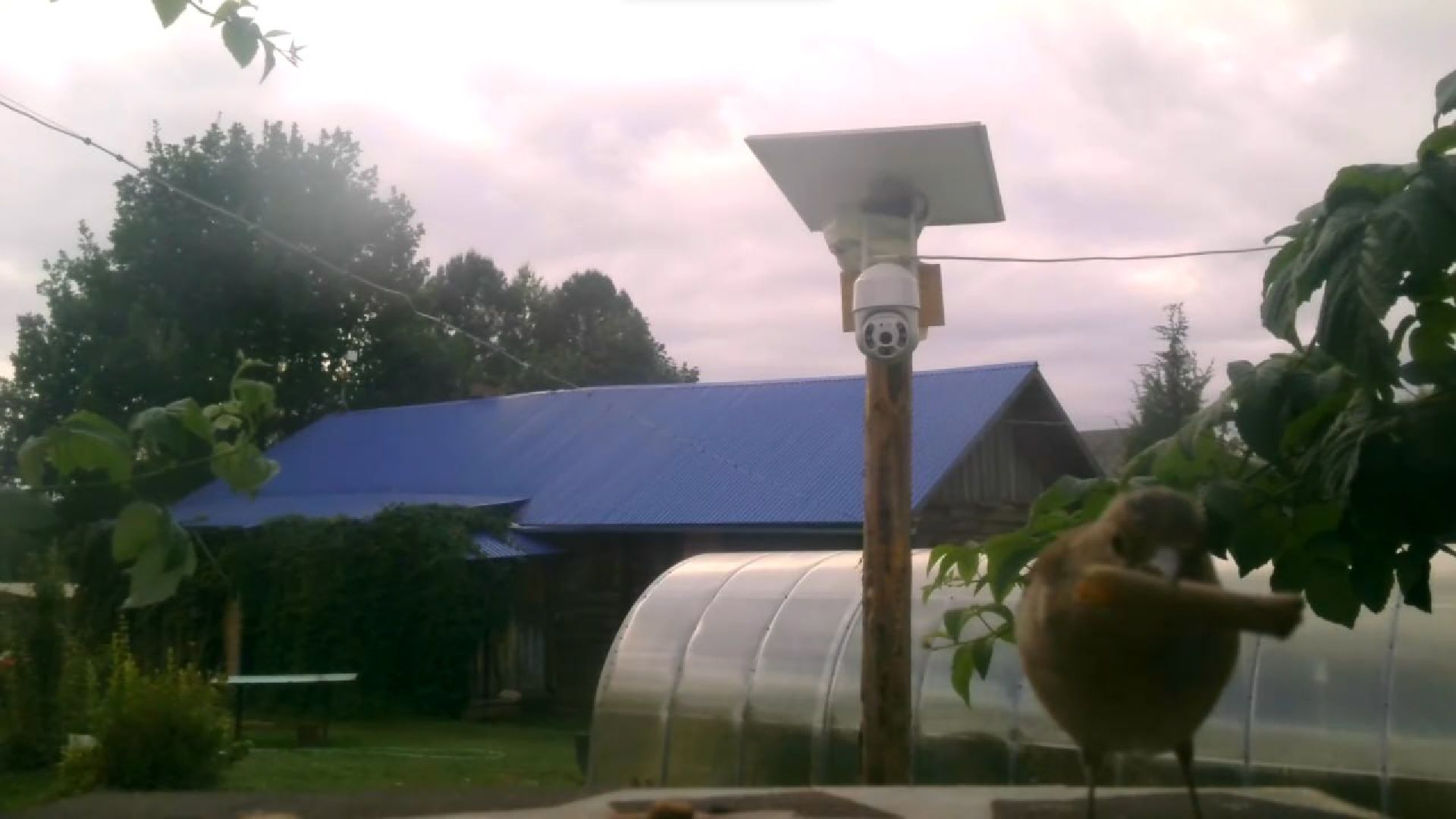 Реутов, изобретение, врановые, Родион Муцольгов, экология, премия,