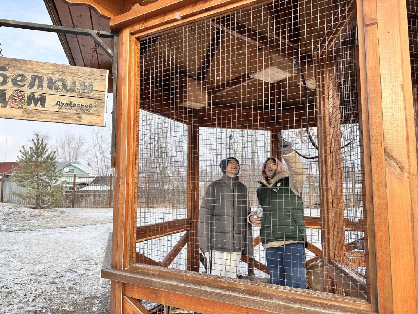 зима в подмосковье, парки подмосковья,