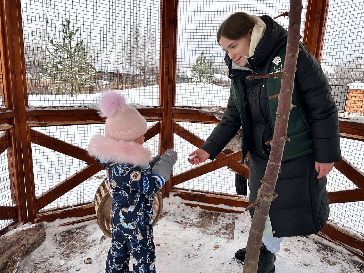 зима в подмосковье, парки подмосковья,