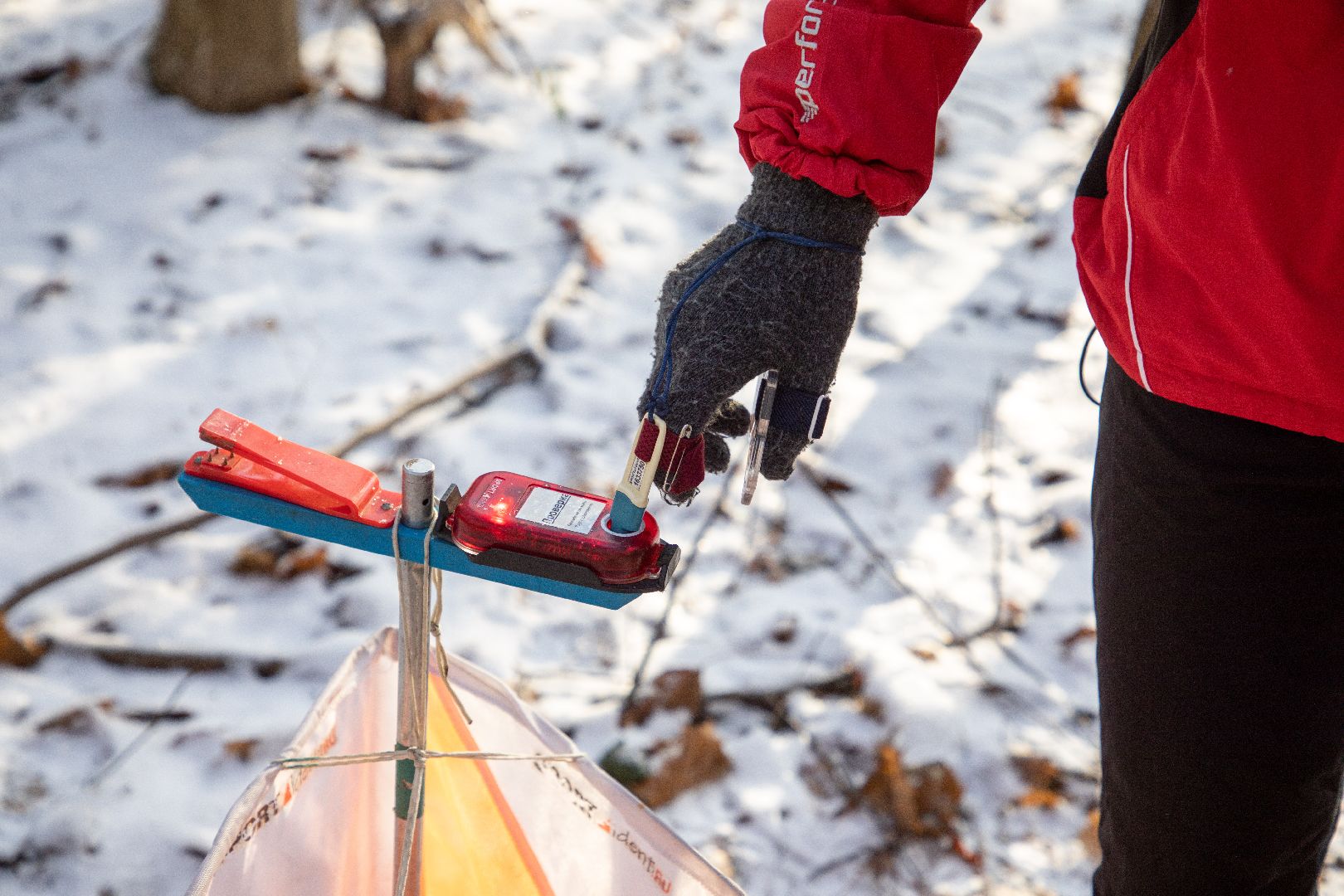 лыткарино, спорт, ориентирование, волкуша,