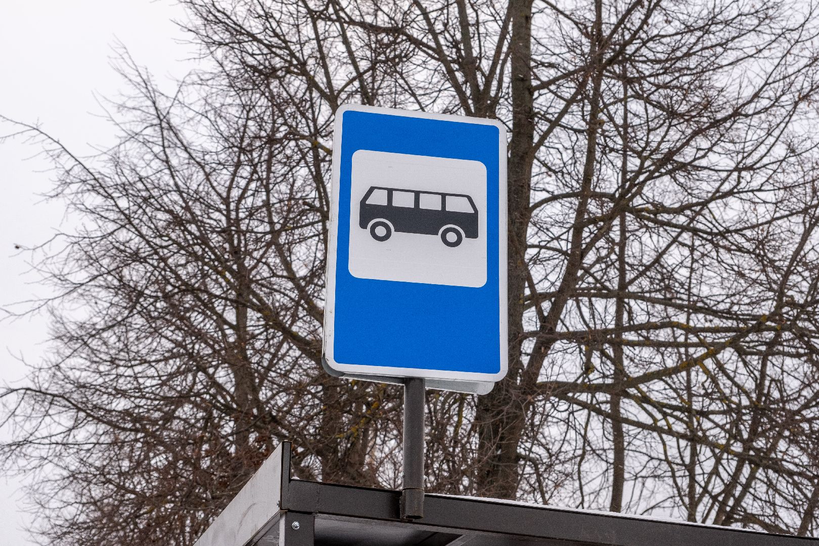 лыткарино, транспорт, остановка, расписание,