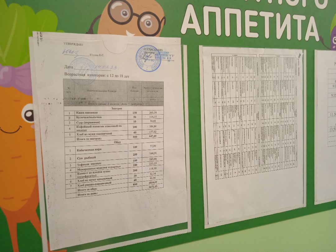 проверка, школа, управление образование, заместитель, главы