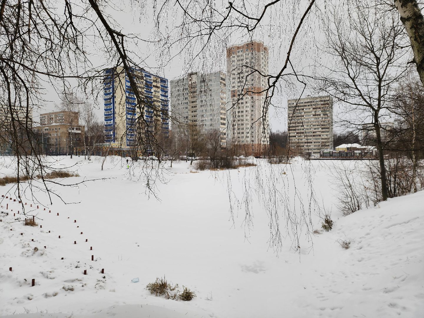 одинцово, благоустройство, комсомольский пруд,