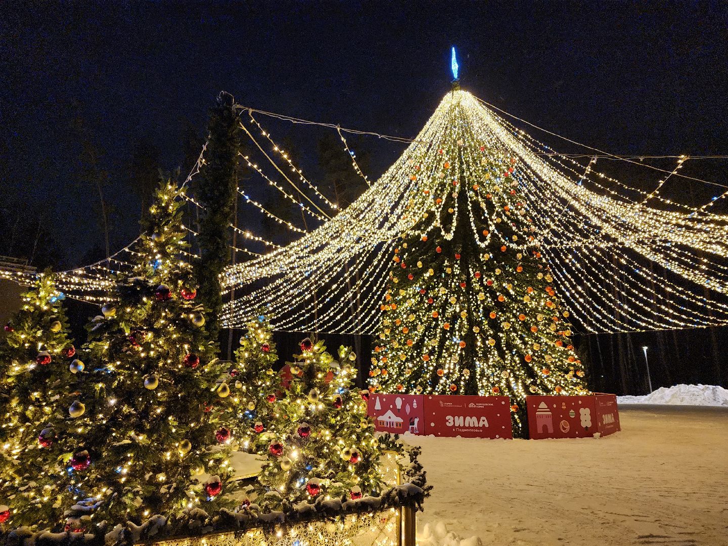 Одинцово, парк малевича, новый год, елка,