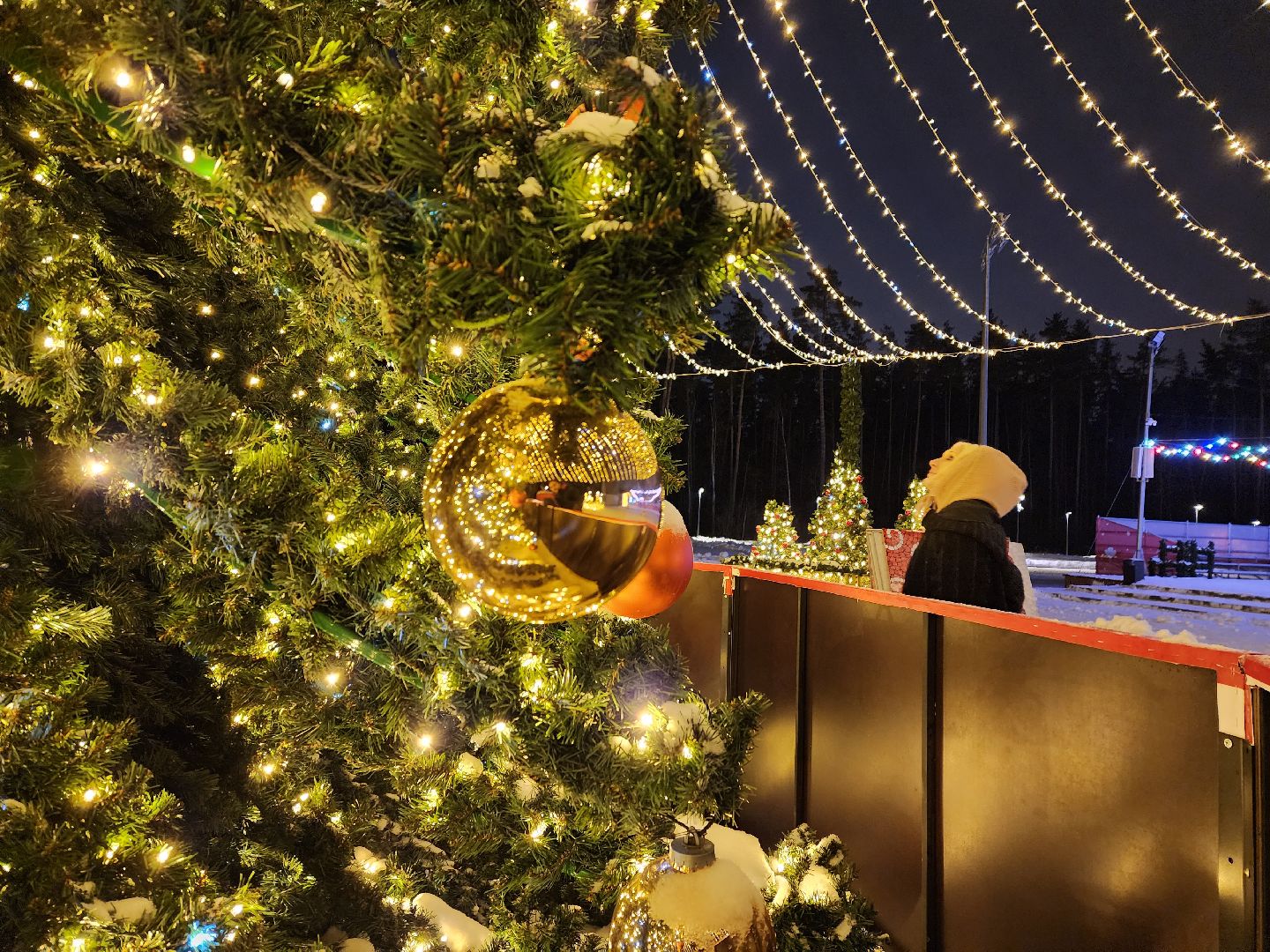 Одинцово, парк малевича, новый год, елка,