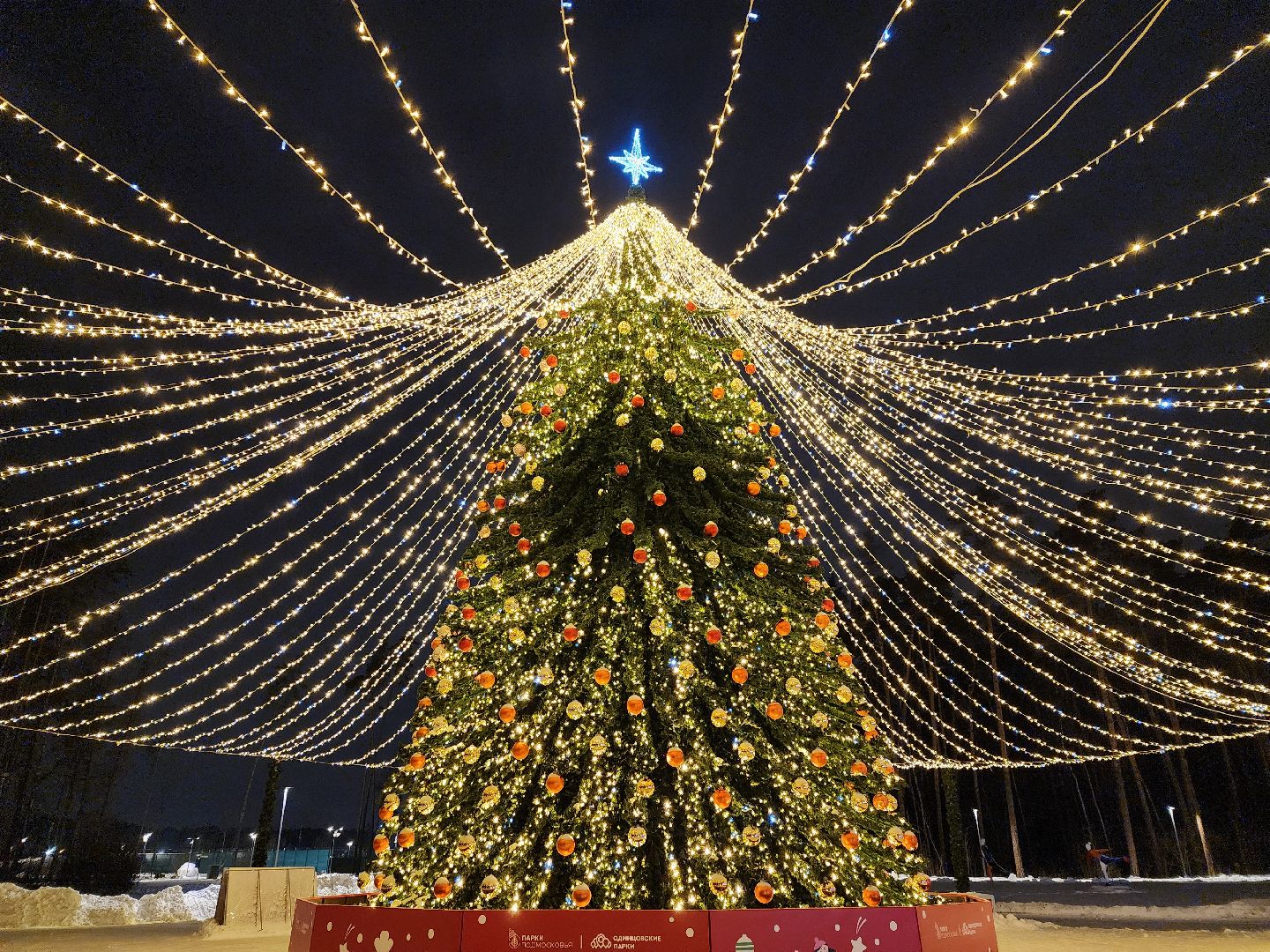 Одинцово, парк малевича, новый год, елка,