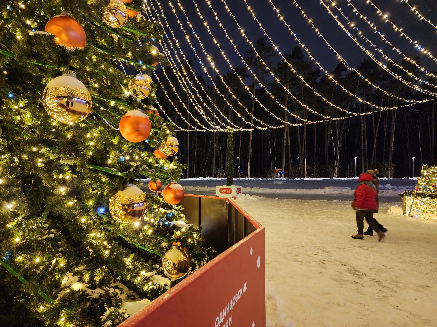 Одинцово, парк малевича, новый год, елка,