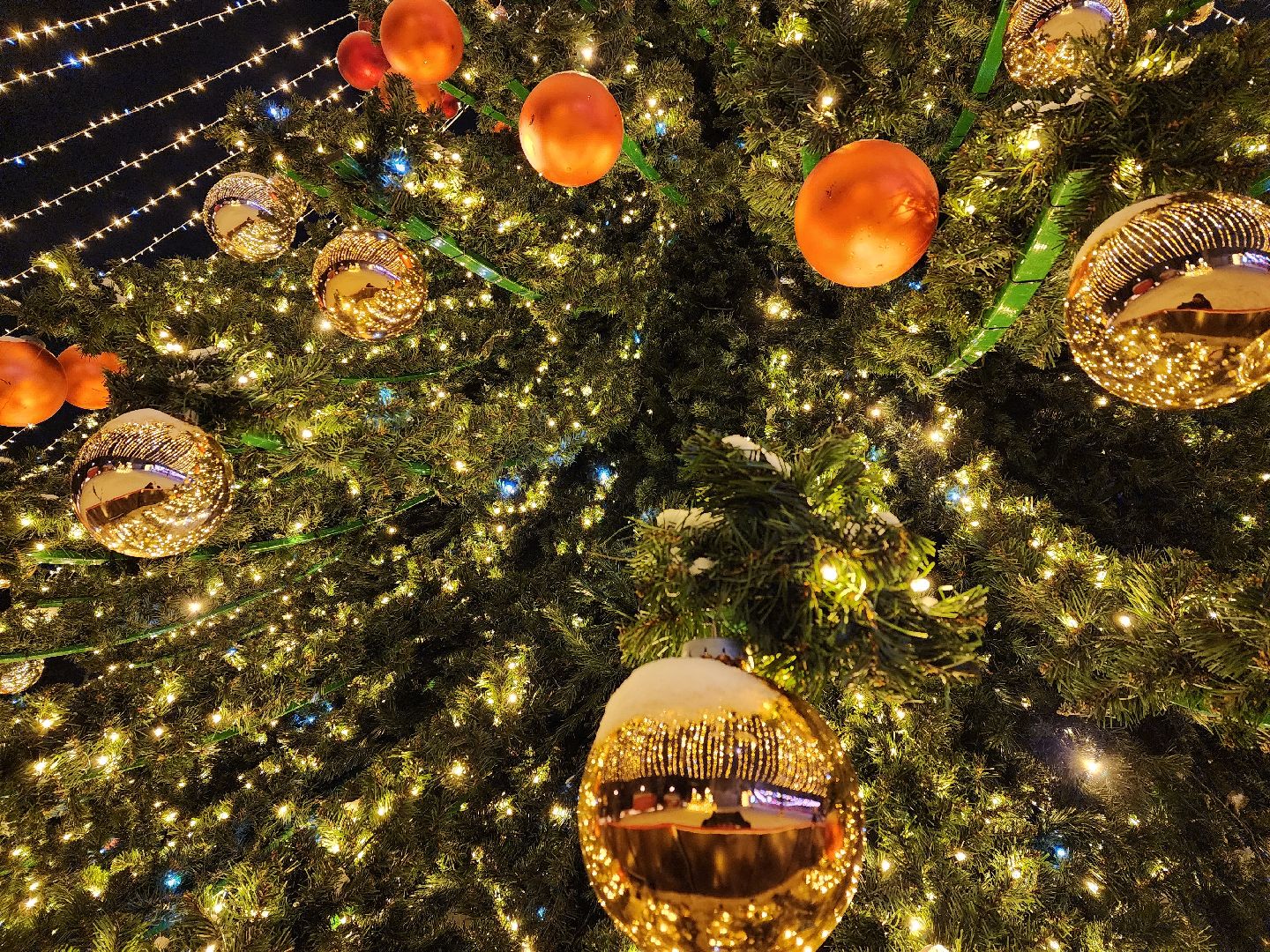 Одинцово, парк малевича, новый год, елка,